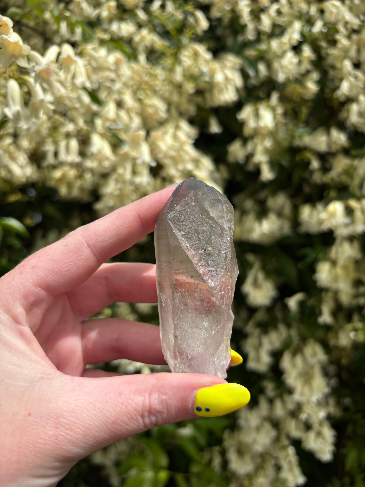 Lemurian Smoky Quartz Semi Polished Point D