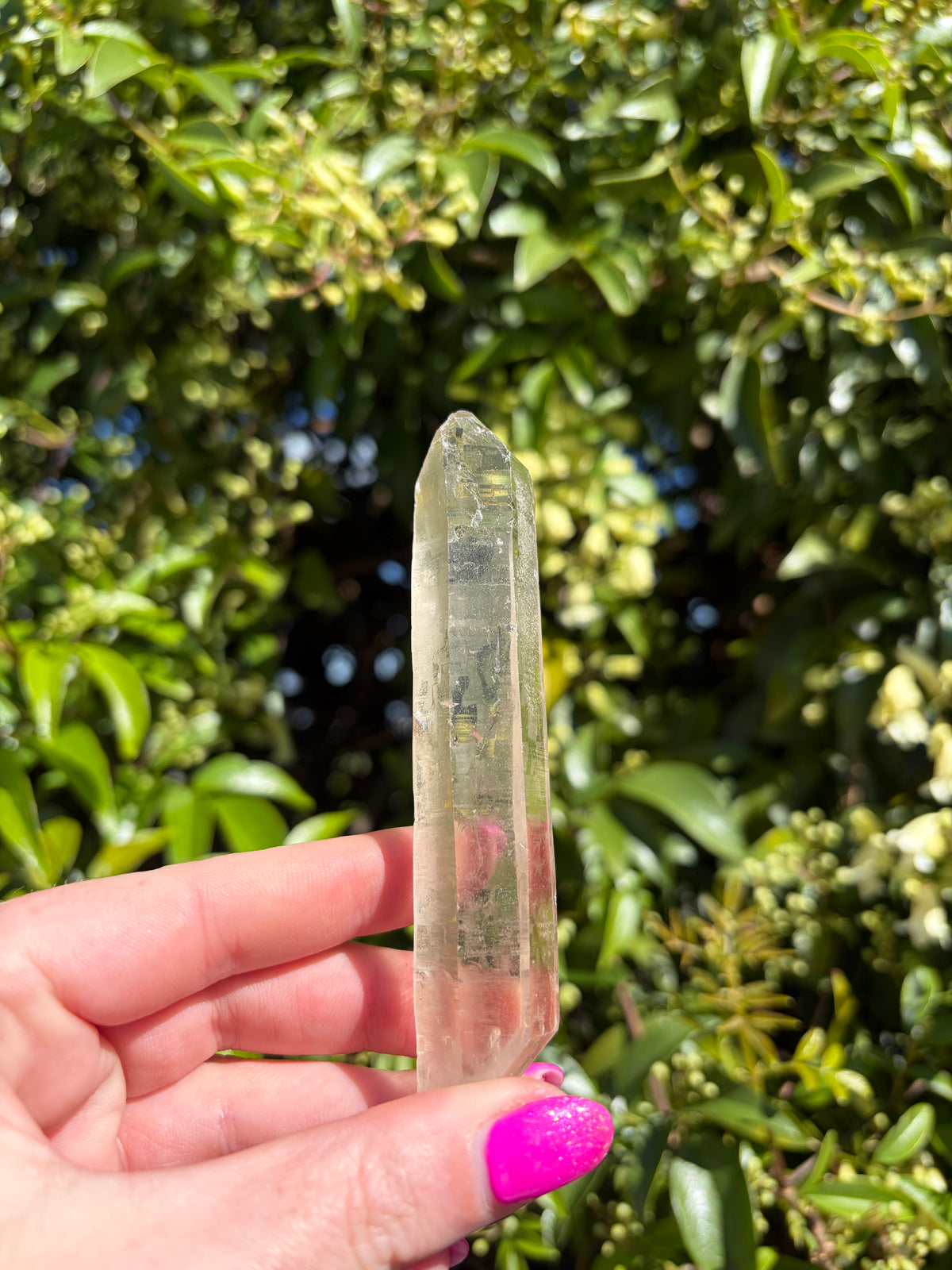Lemurian Smoky Quartz Semi Polished Point F