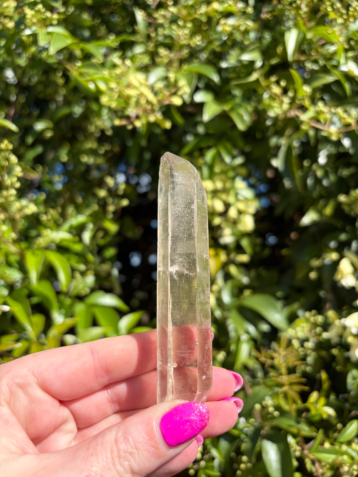 Lemurian Smoky Quartz Semi Polished Point F