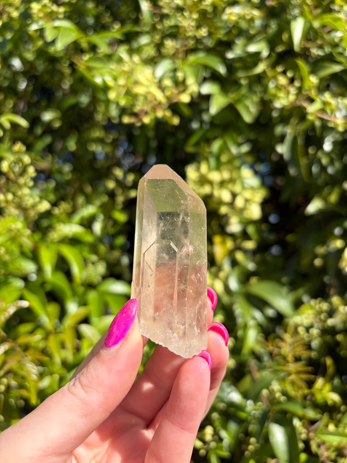 Lemurian Smoky Quartz Semi Polished Point H
