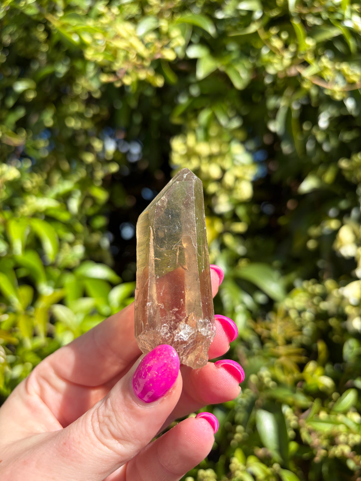 Lemurian Smoky Quartz Semi Polished Point i