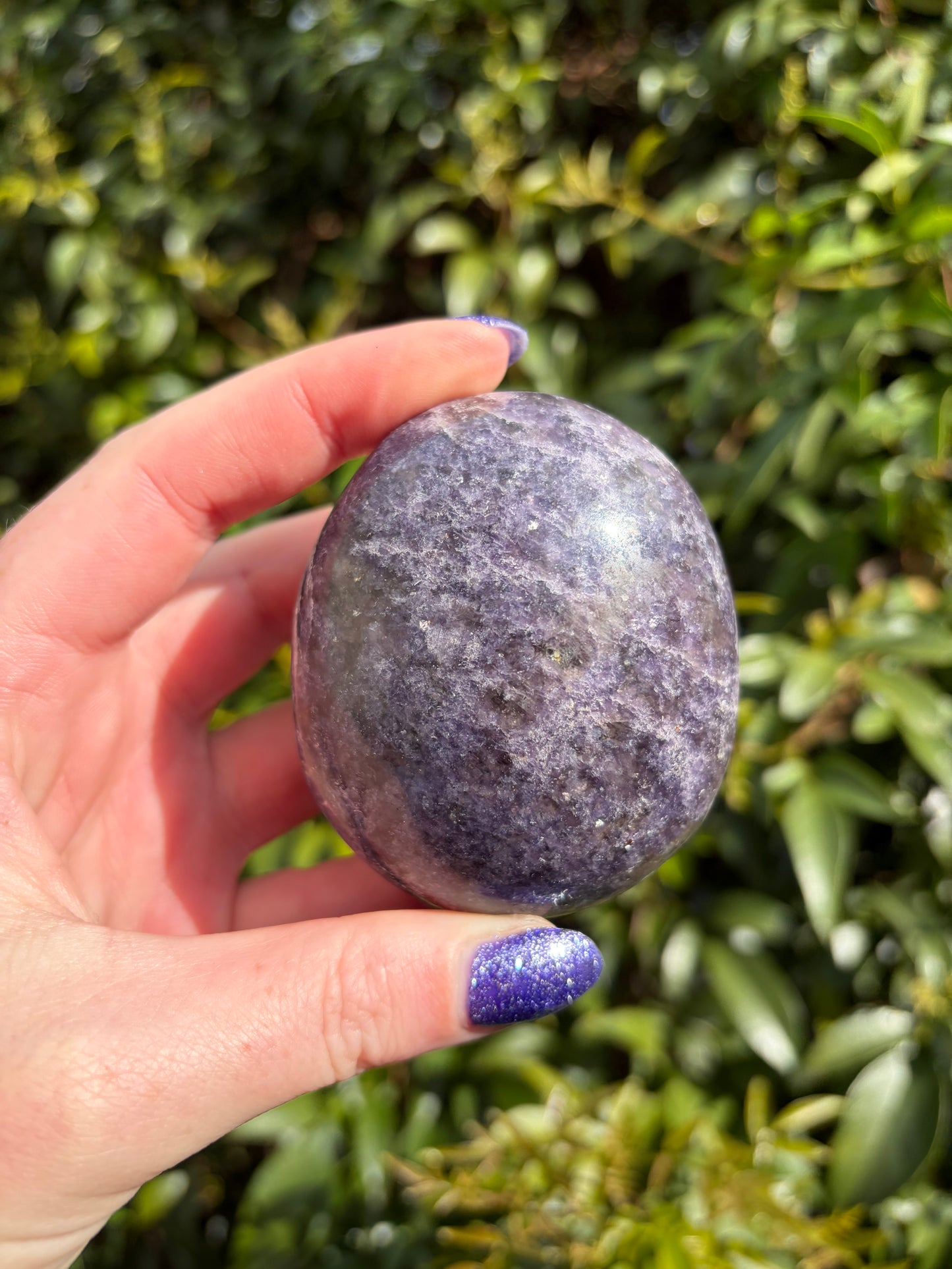 Lepidolite Palm Stone F