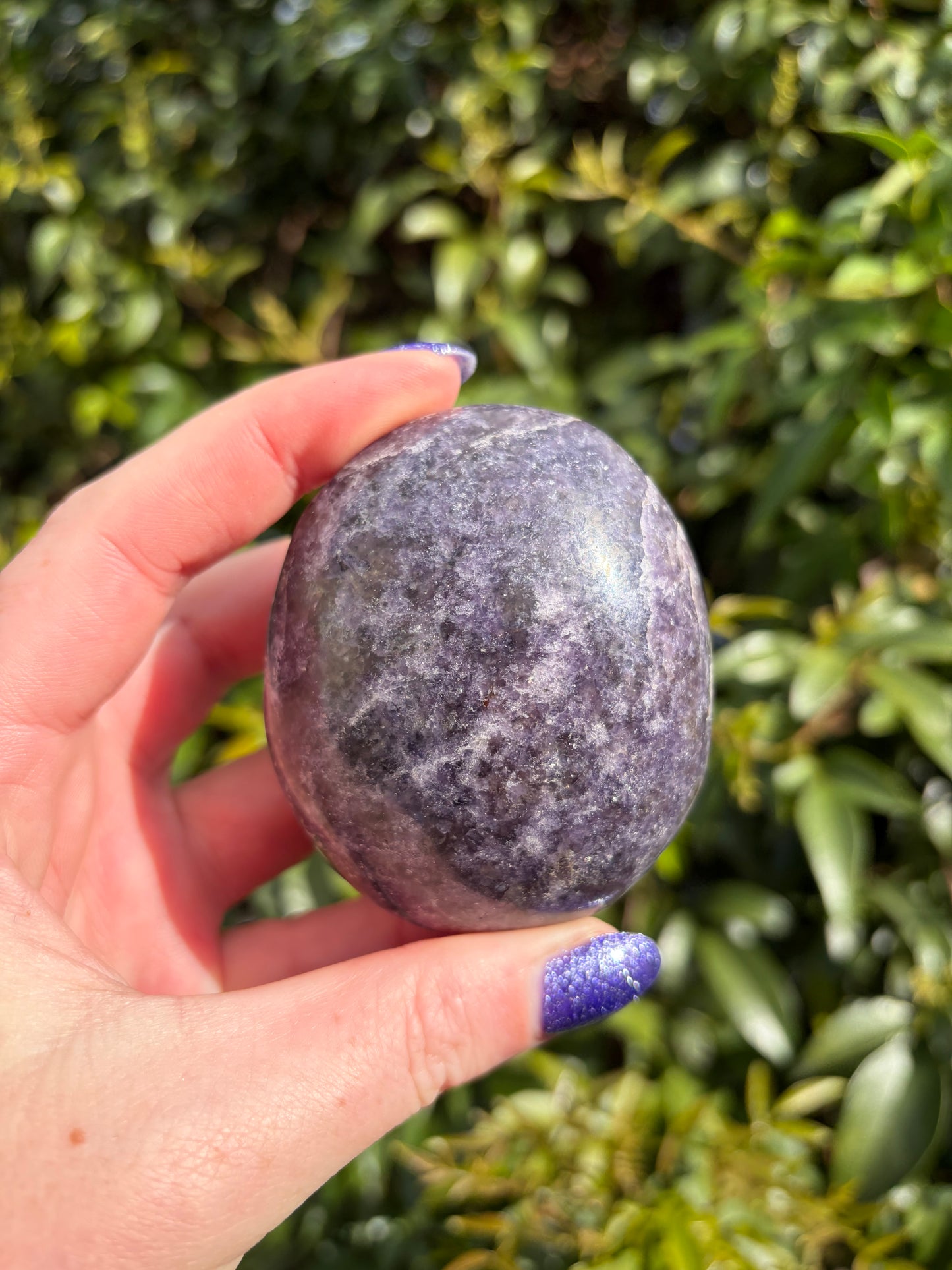 Lepidolite Palm Stone F