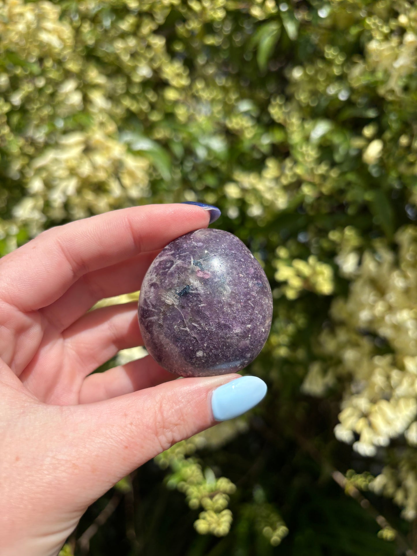 Lepidolite Palm Stone F