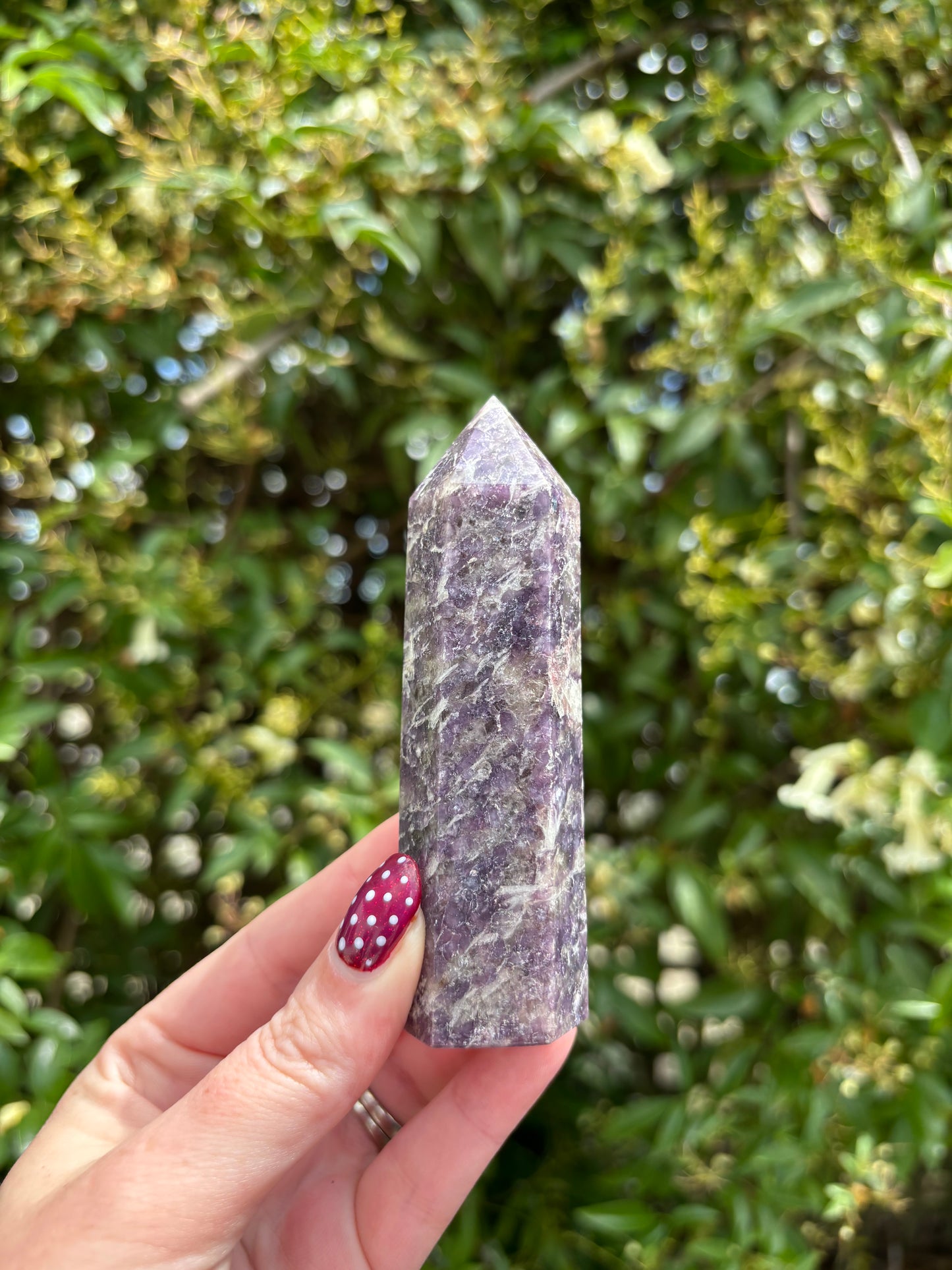 Lepidolite Polished Point D