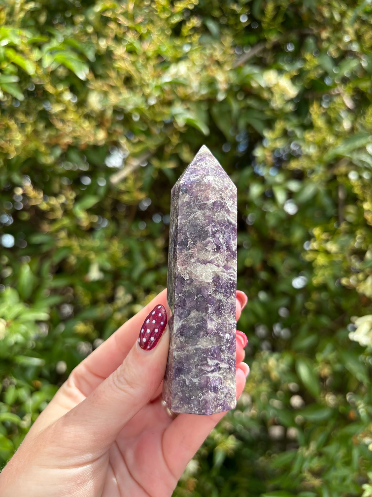 Lepidolite Polished Point D