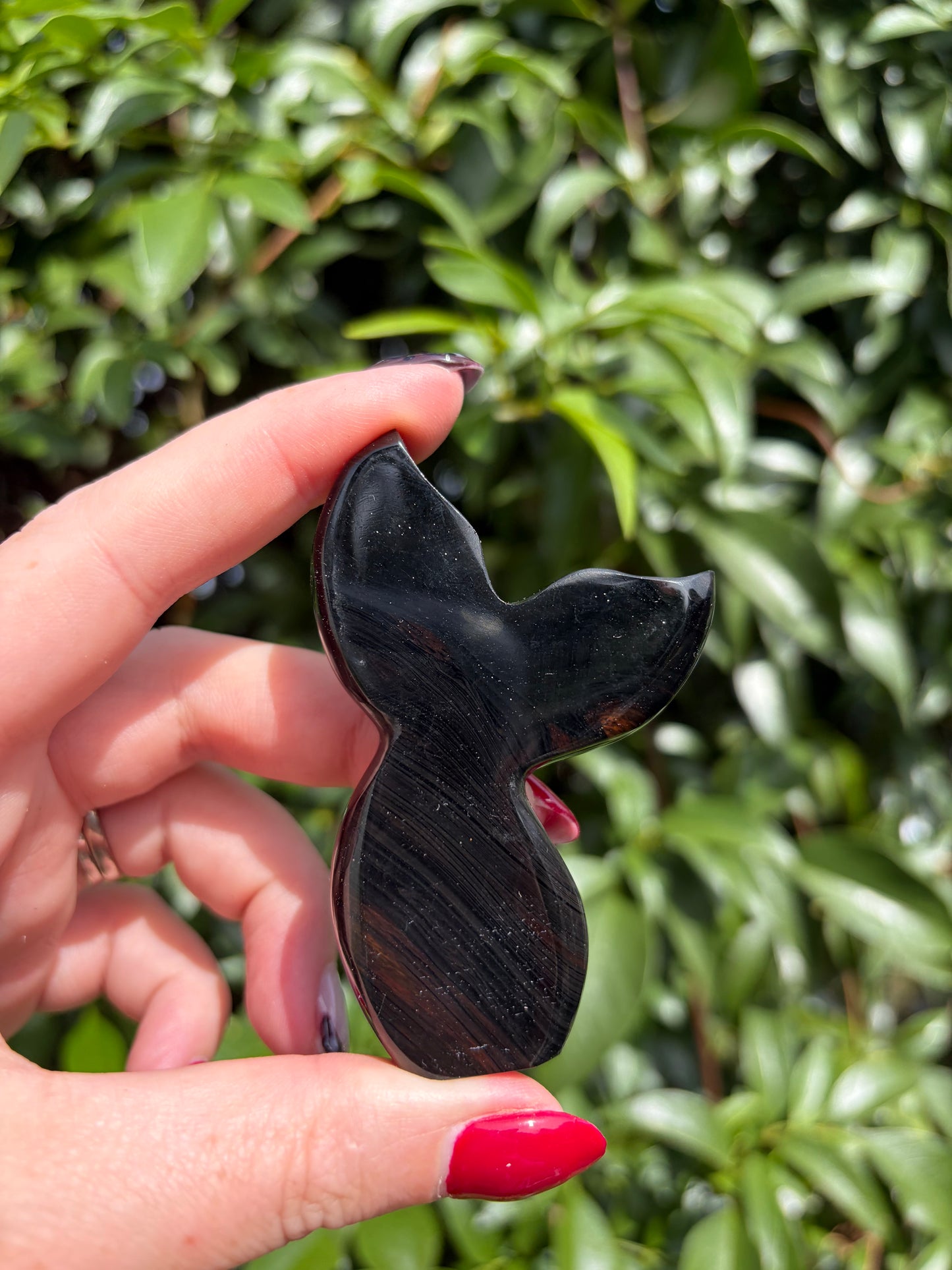 Midnight Lace Obsidian Mermaid Tail C