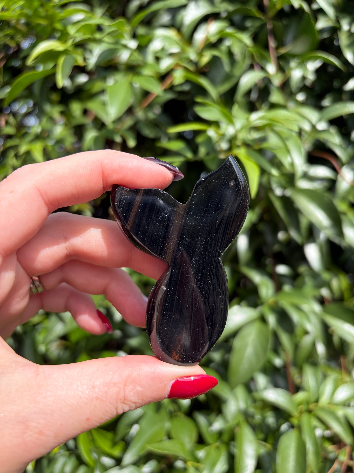 Midnight Lace Obsidian Mermaid Tail E