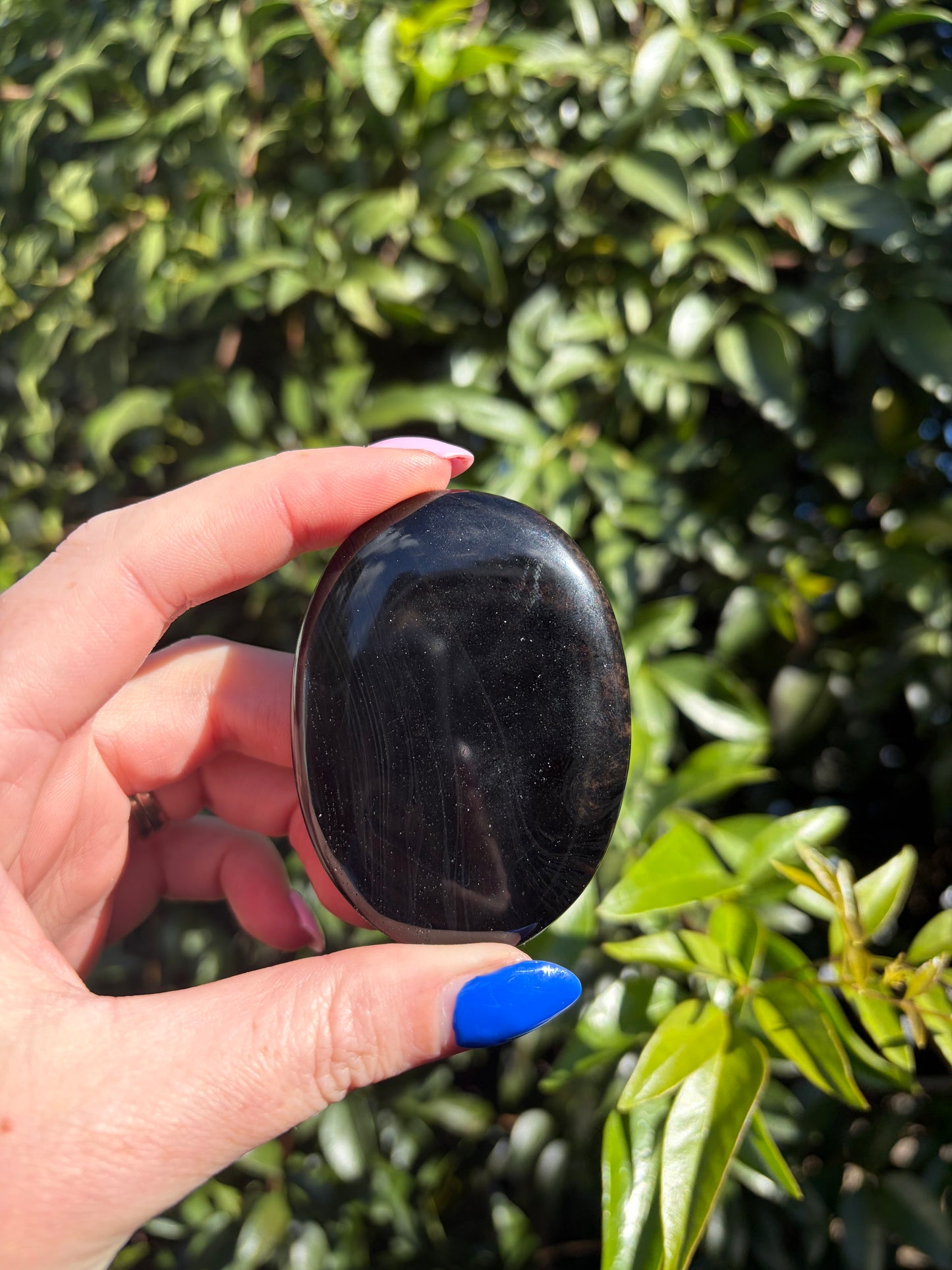 Midnight Lace Obsidian Palm Stone