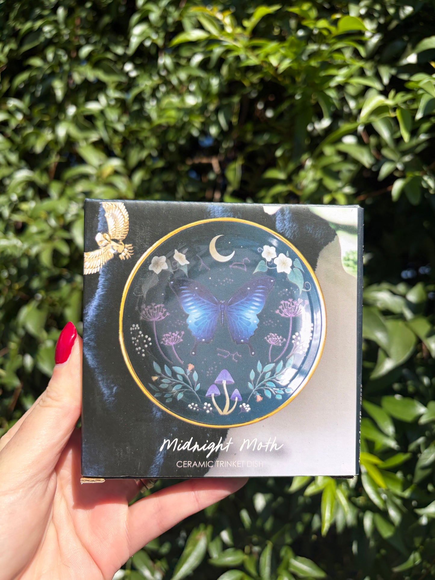 Midnight Moth Ceramic Trinket Dish