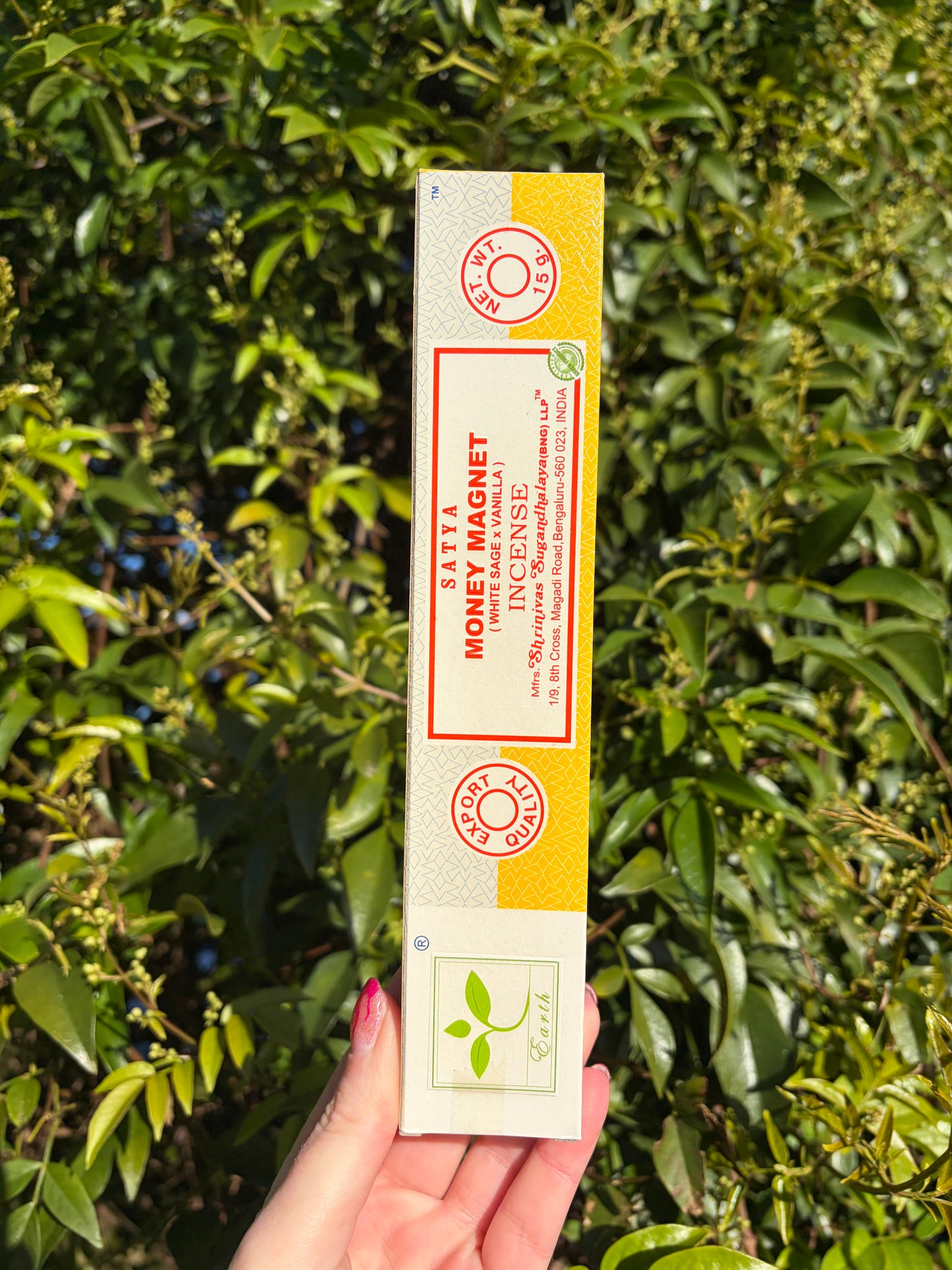 Money Magnet | White Sage & Vanilla Incense Sticks
