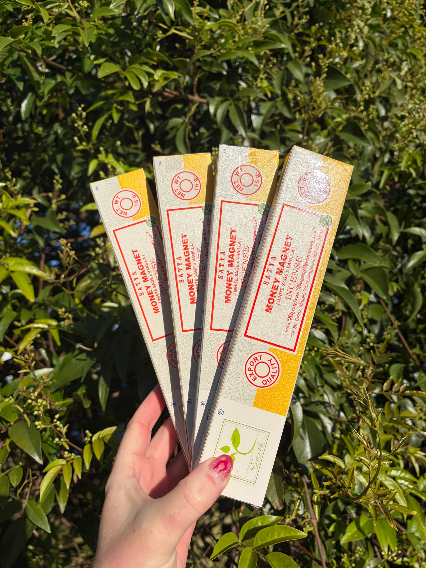 Money Magnet | White Sage & Vanilla Incense Sticks