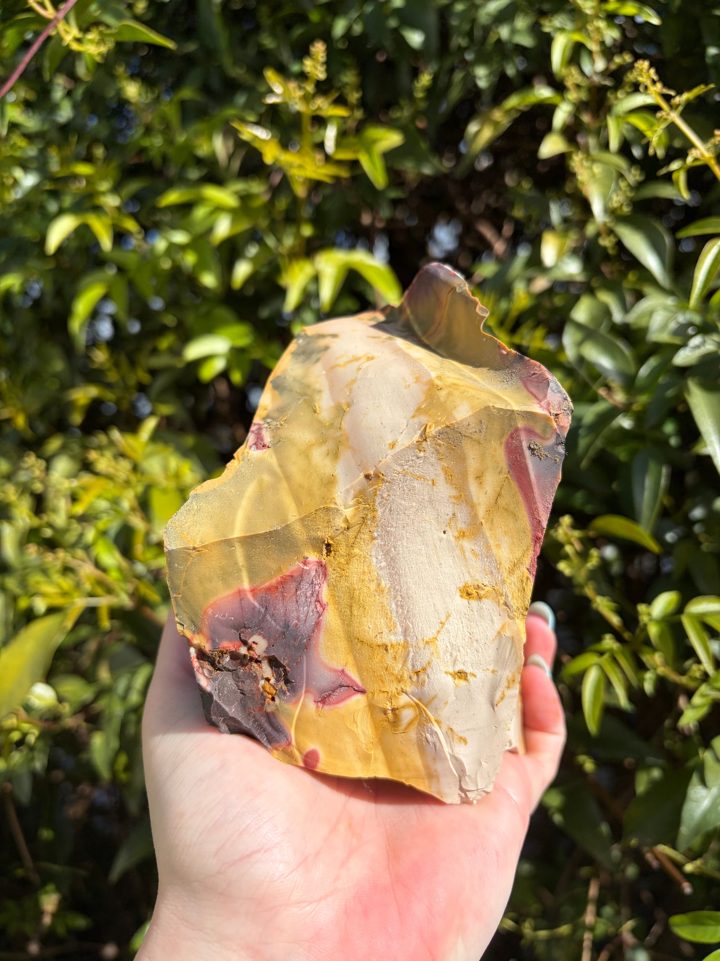 Mookaite Jasper Large Rough PIece B 1.4kgs