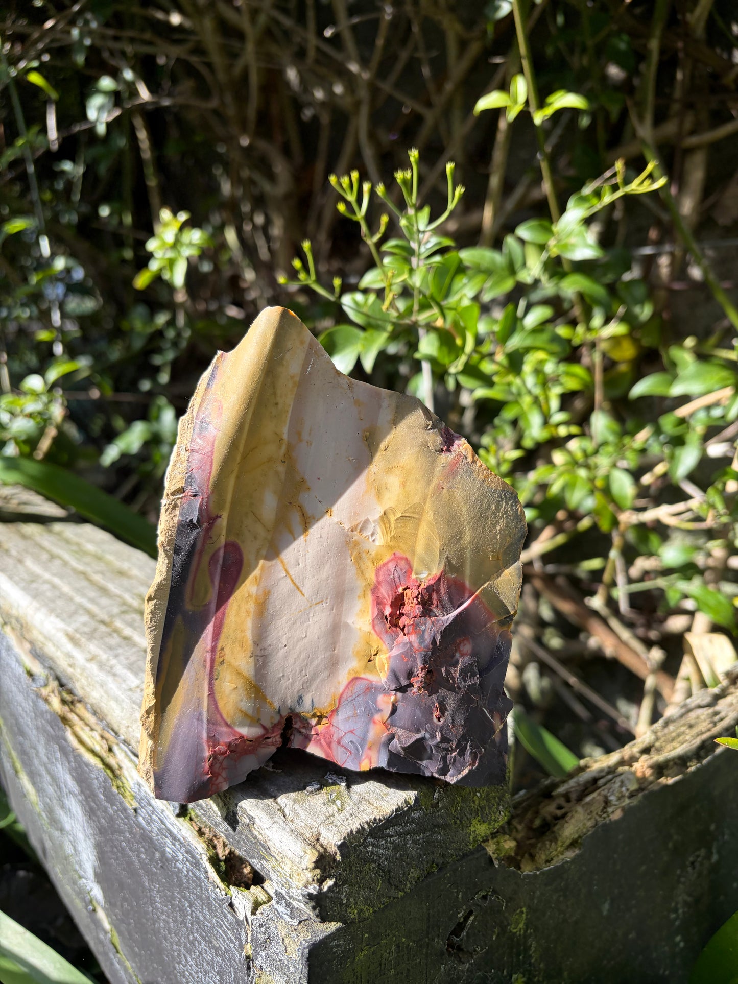 Mookaite Jasper Large Rough Piece C