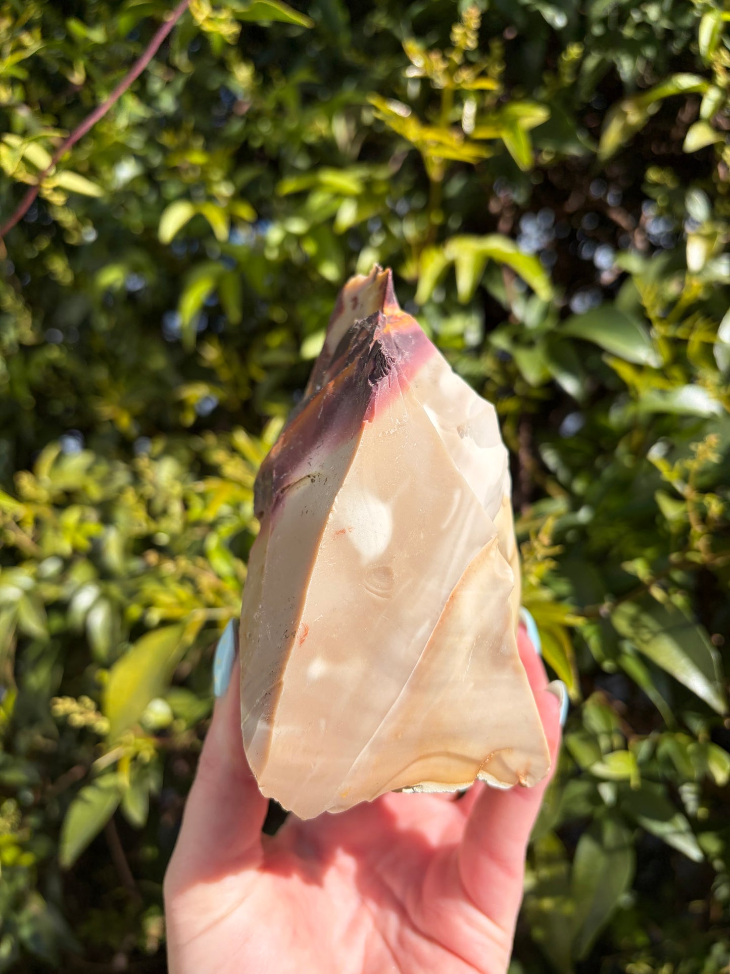Mookaite Jasper Large Rough PIece D