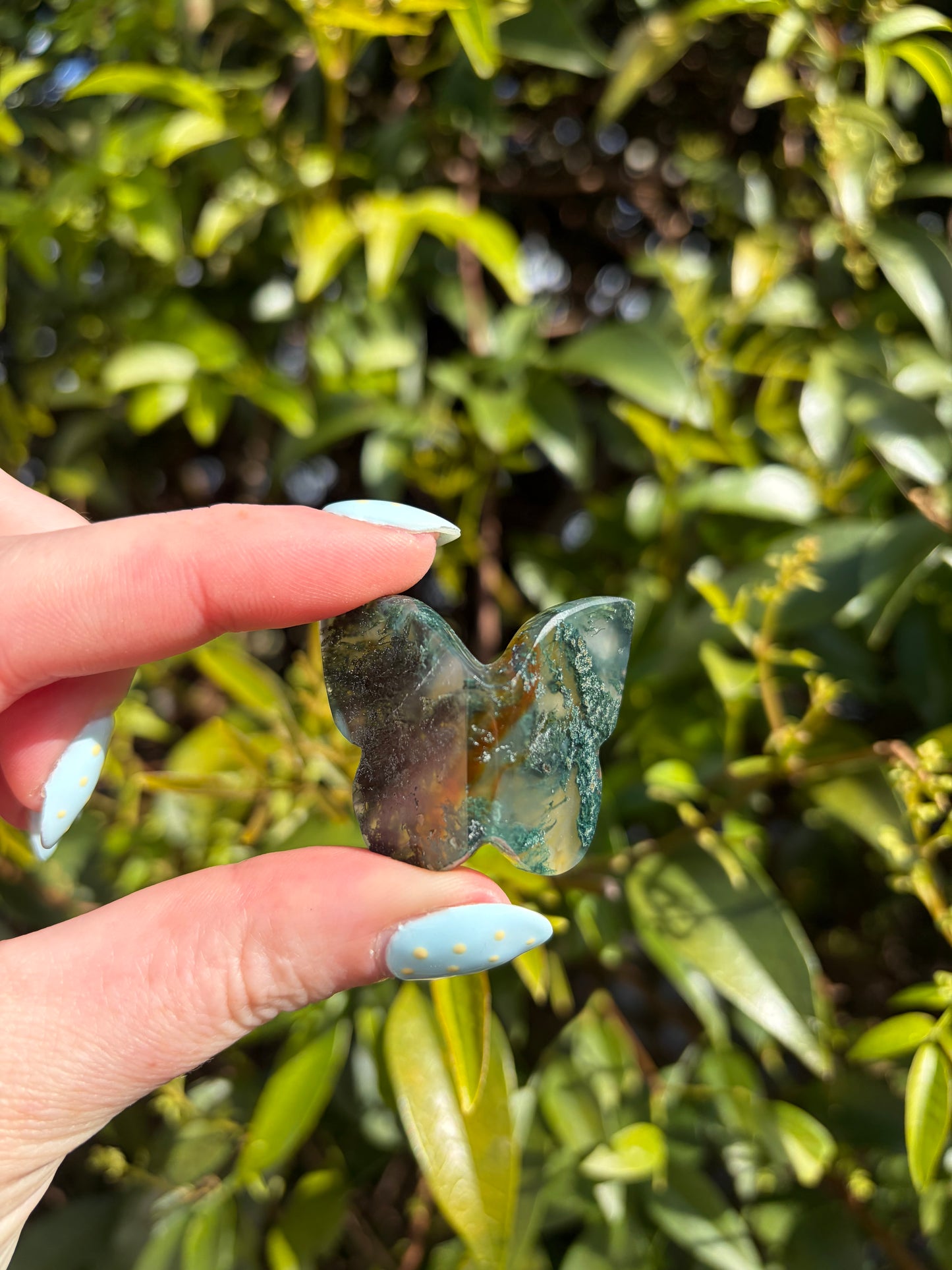 Moss Agate 3D Medium Butterfly A