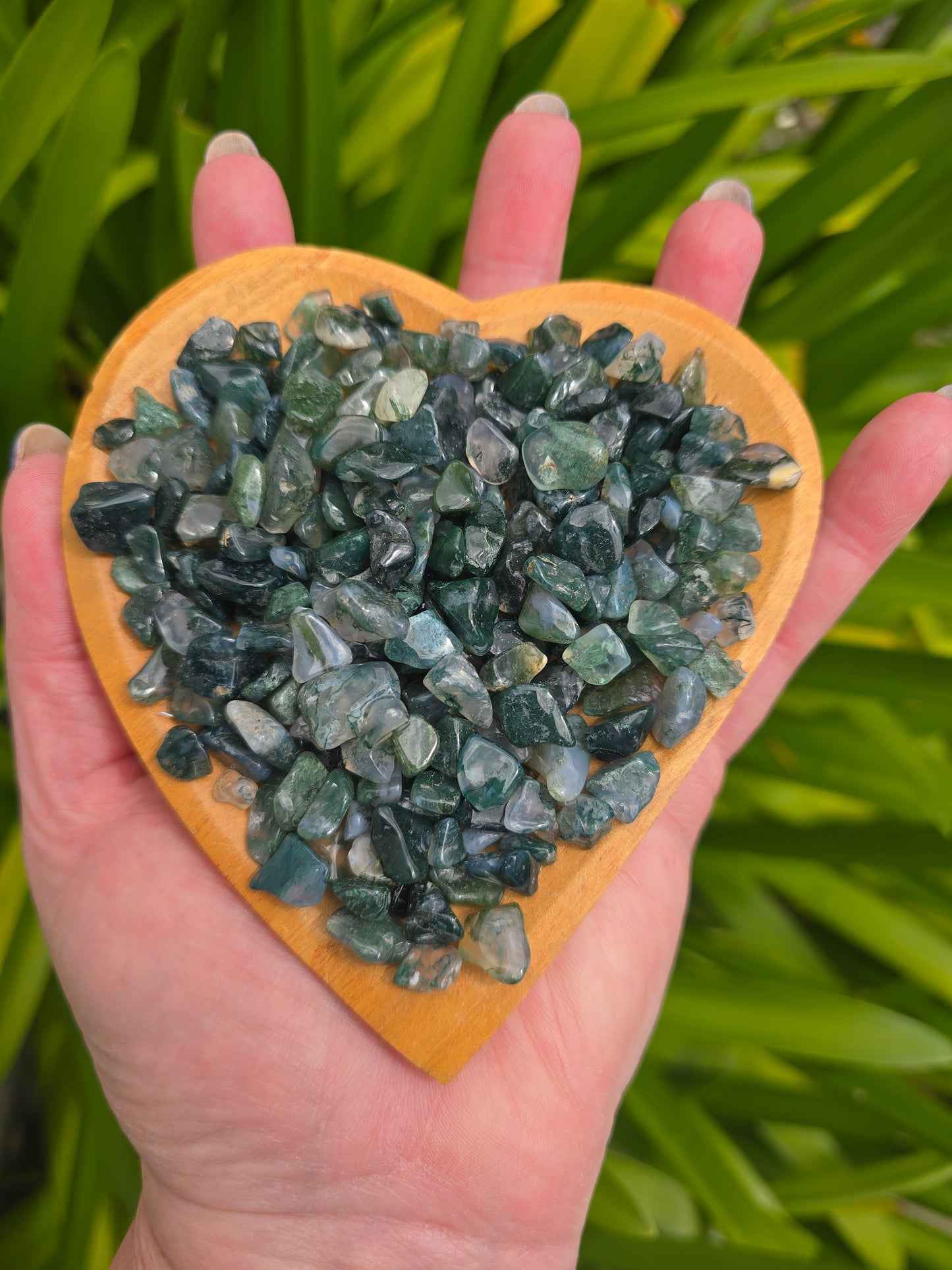 Moss Agate Crystal Chip 100 gms Bag