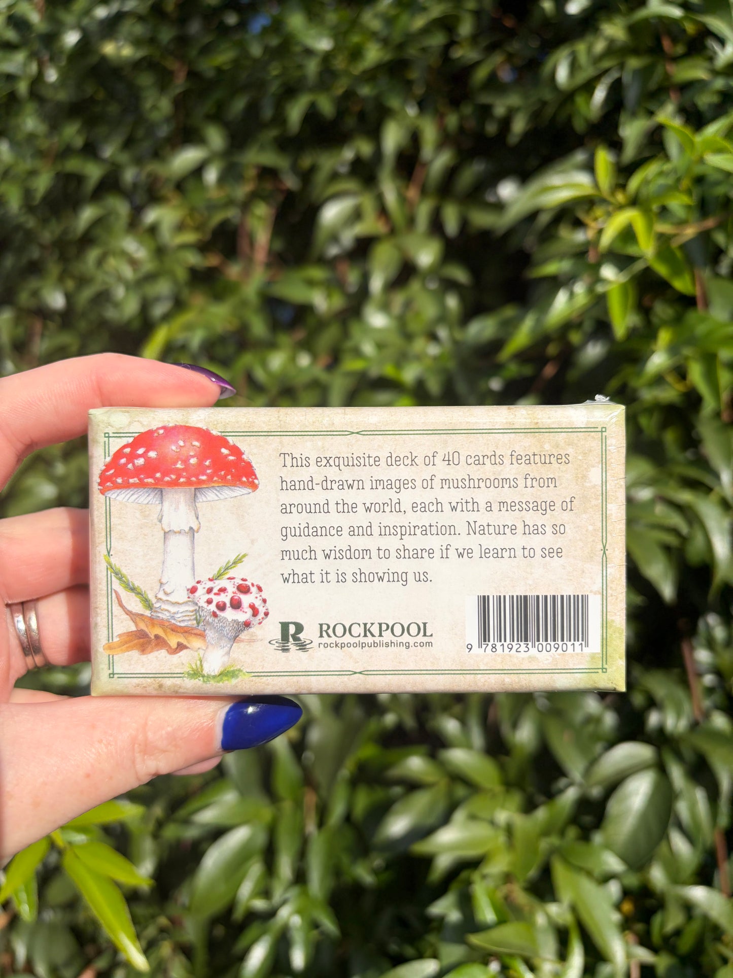 Mushroom Affirmations Cards
