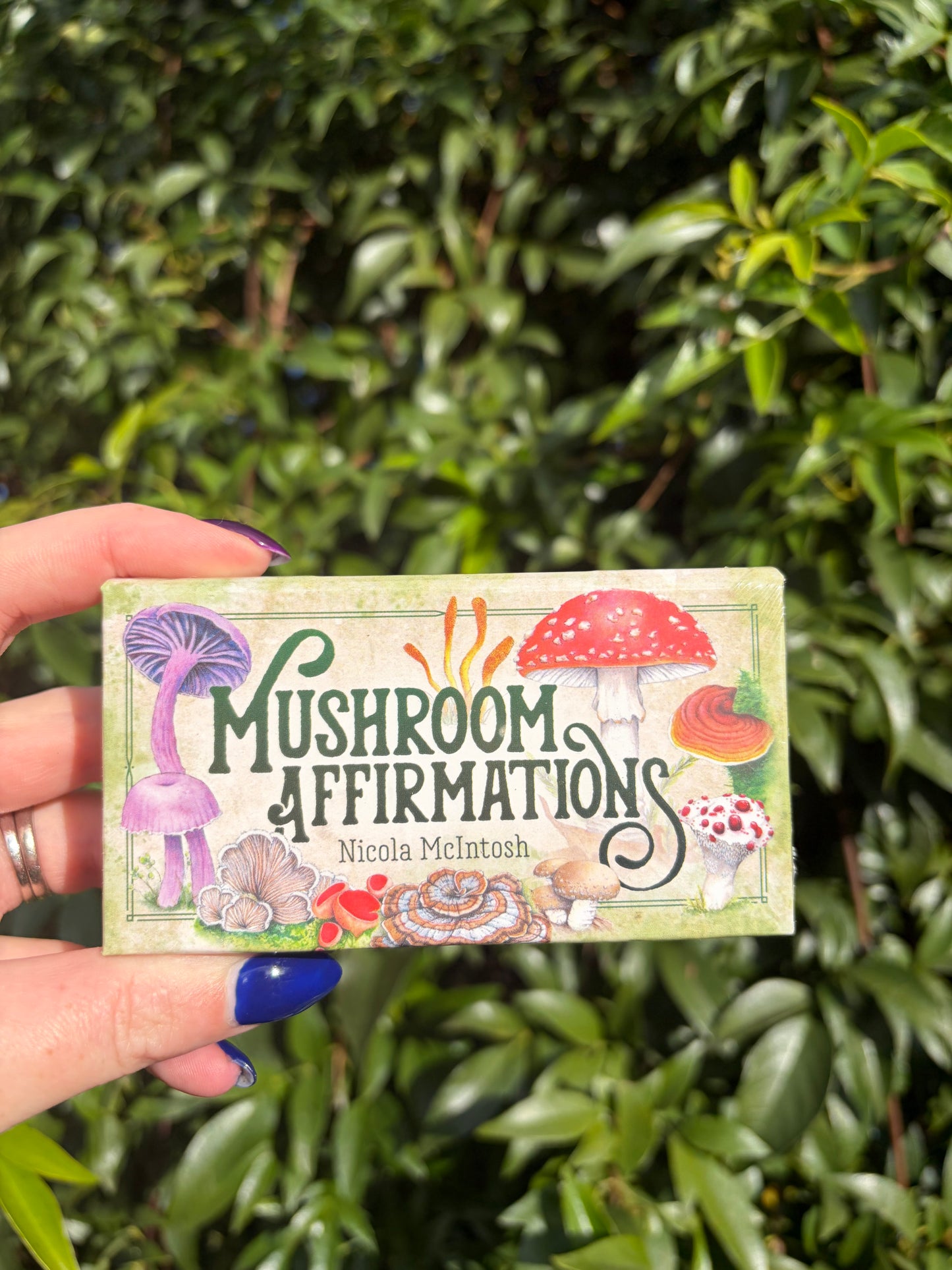 Mushroom Affirmations Cards