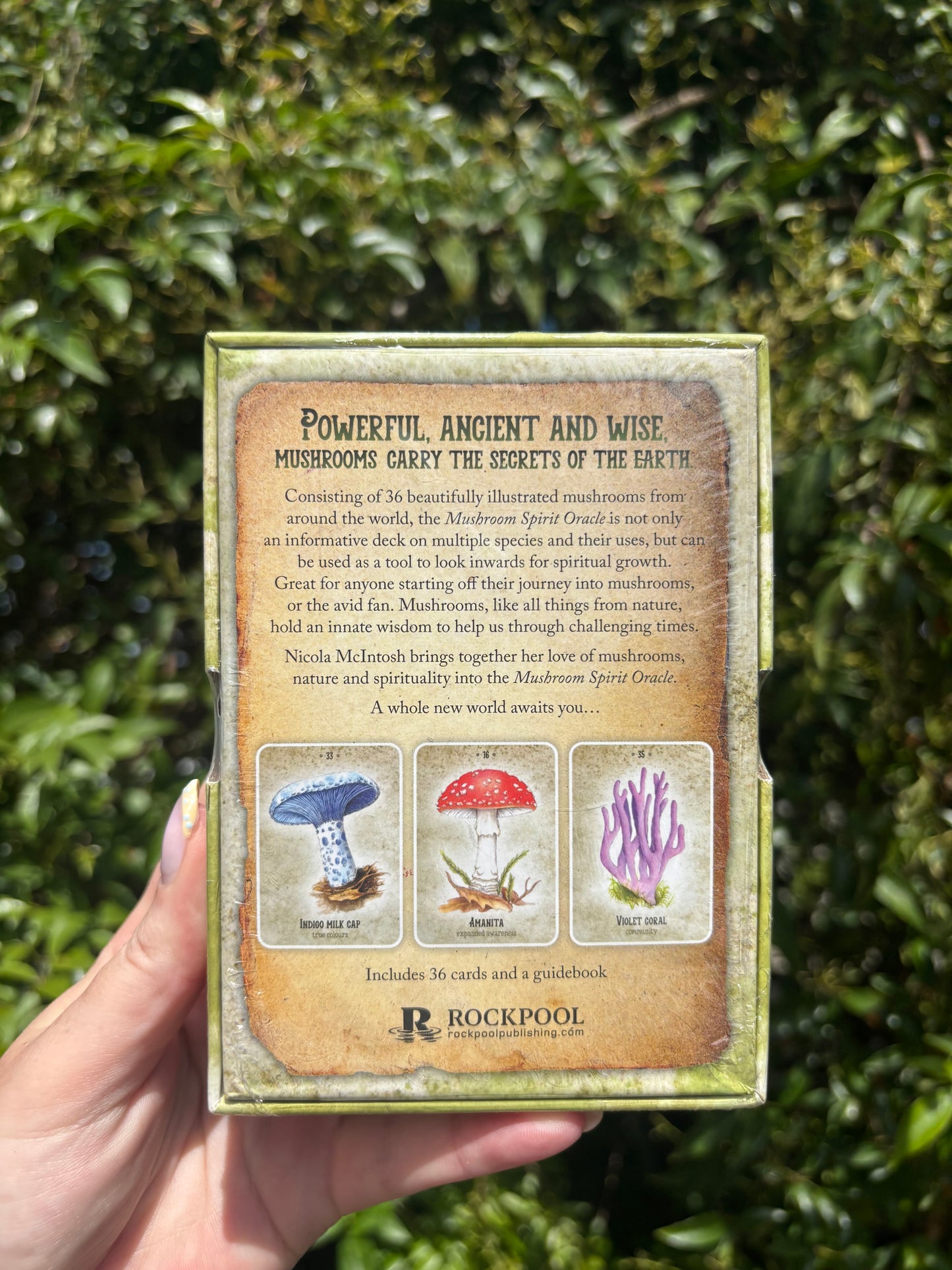 Mushroom Spirit Oracle Cards
