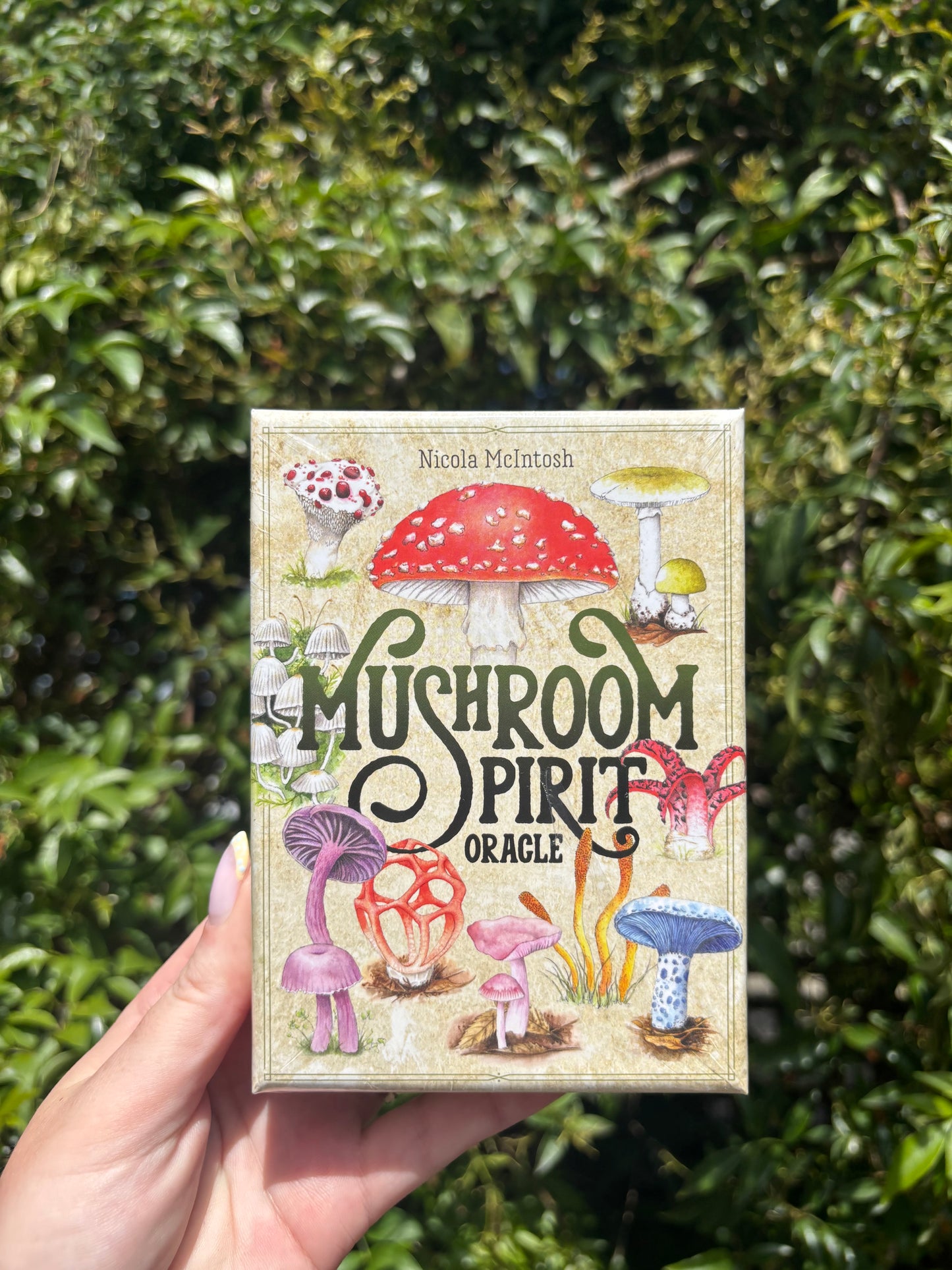 Mushroom Spirit Oracle Cards