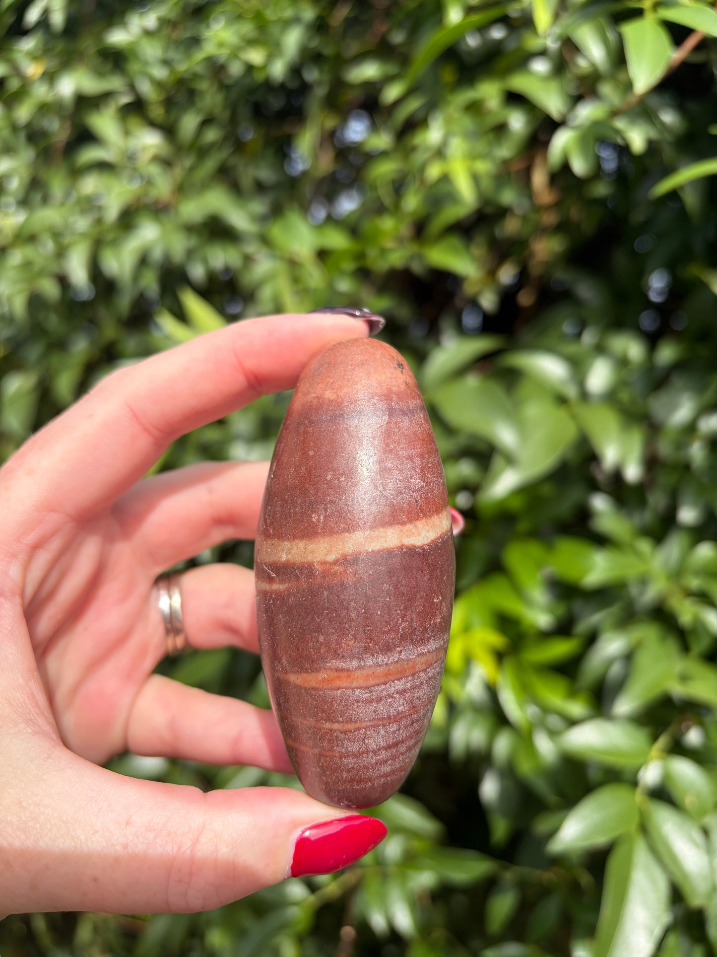 Narmada Stone Shiva Lingham D
