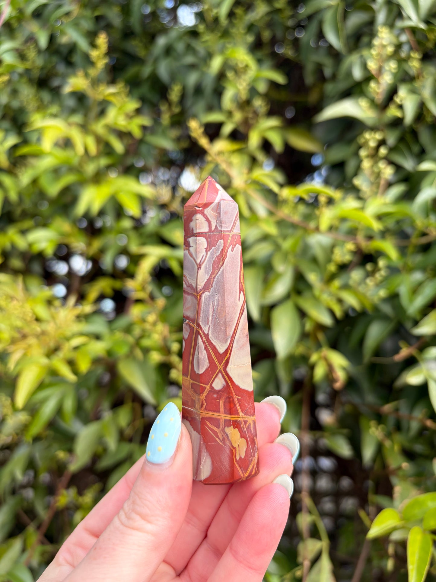 Noreena Jasper Point F