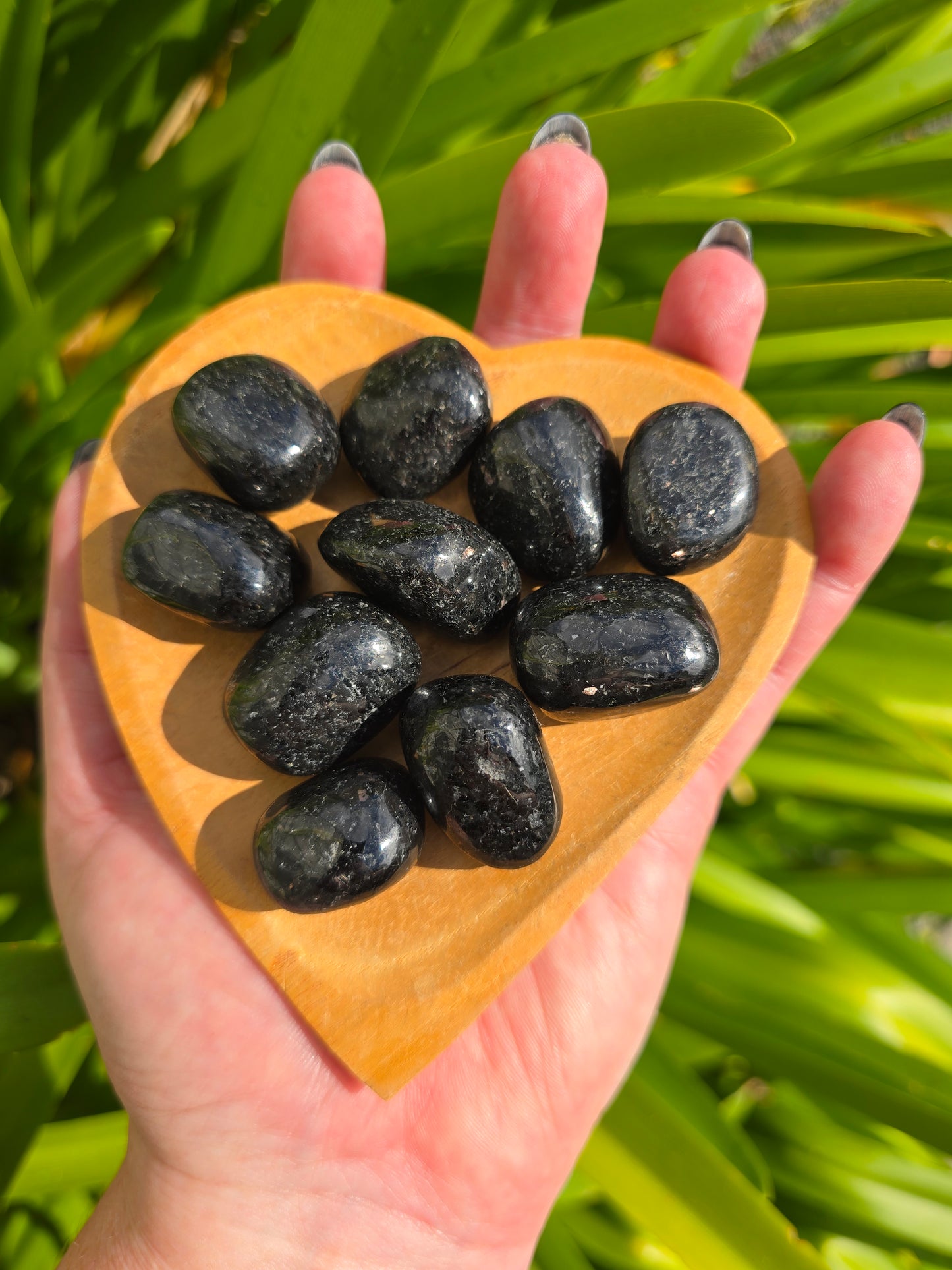 Nuummite Tumbled Stone
