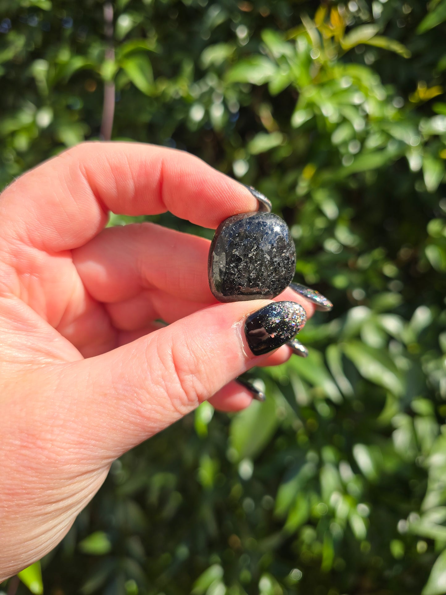 Nuummite Tumbled Stone