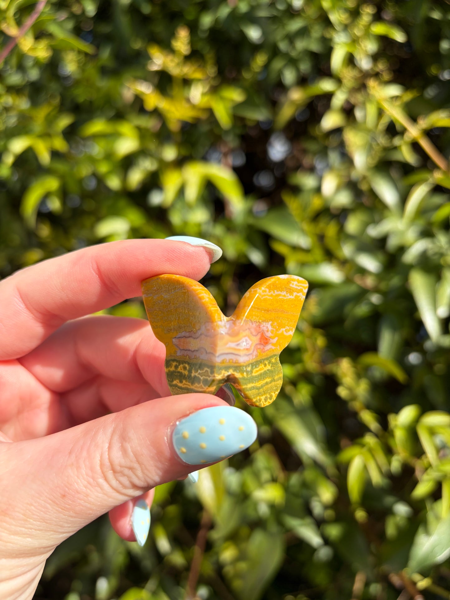 Ocean Jasper Medium 3D Butterfly