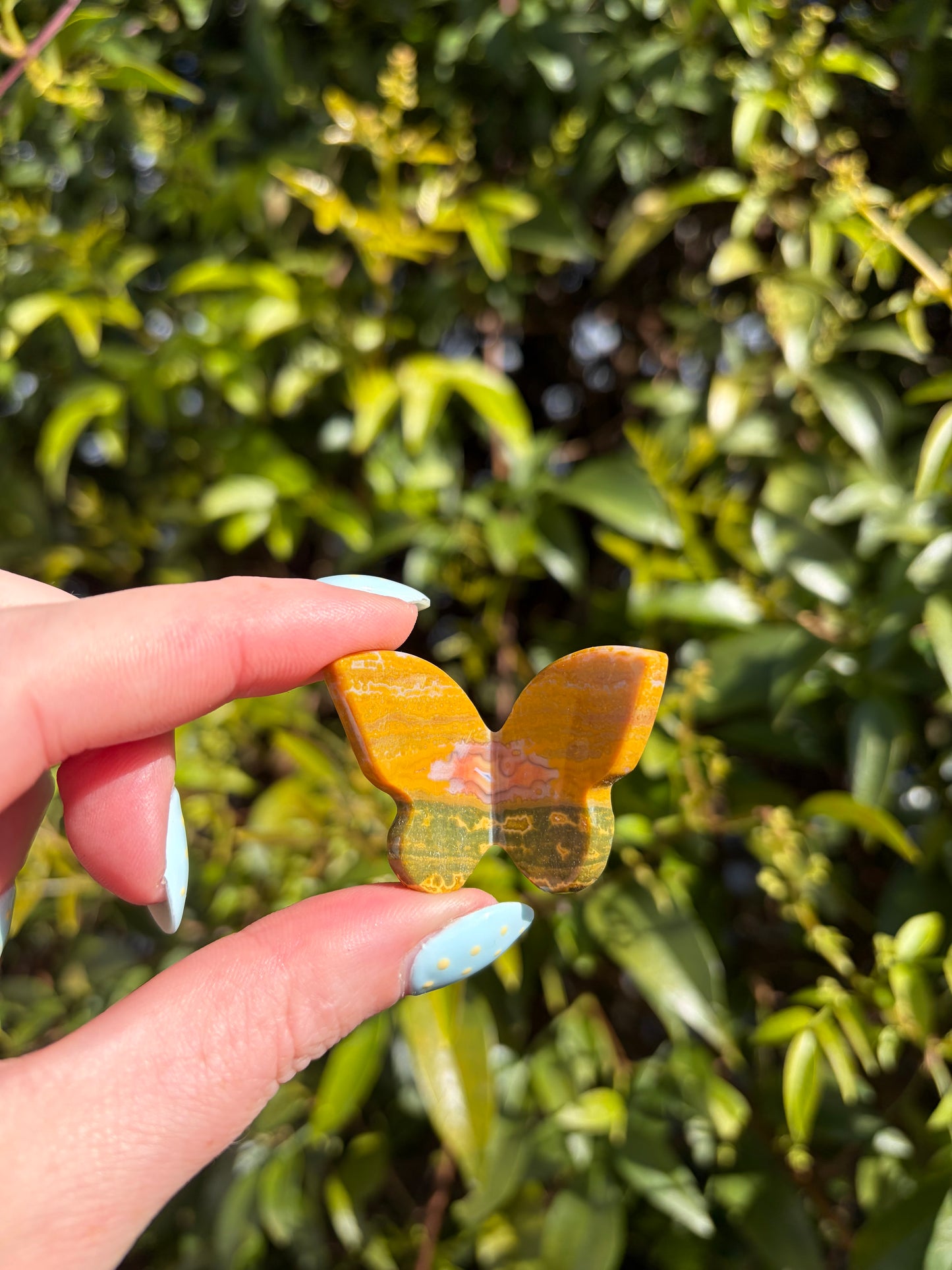 Ocean Jasper Medium 3D Butterfly