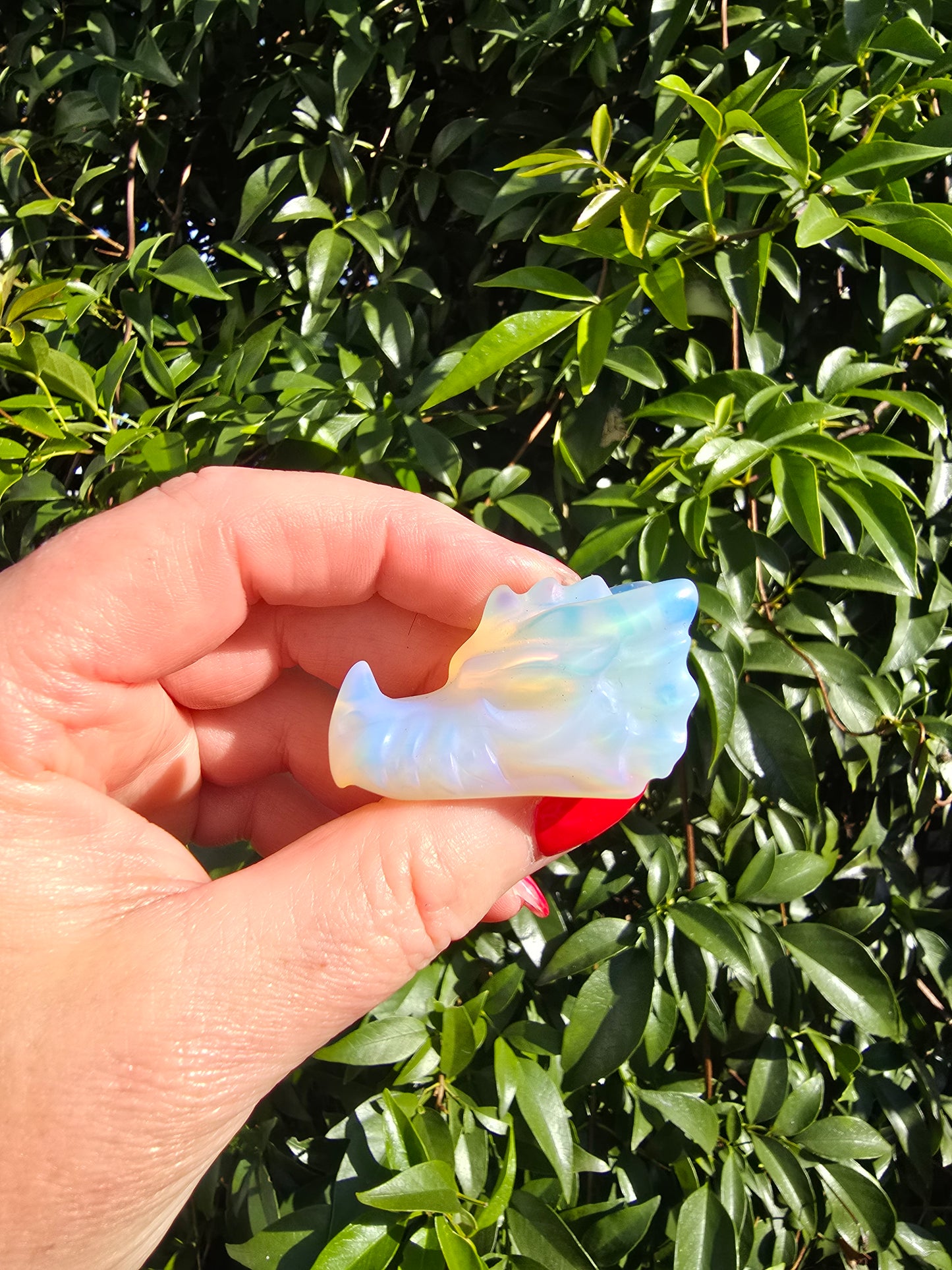 Opalite Dragon Head Skull