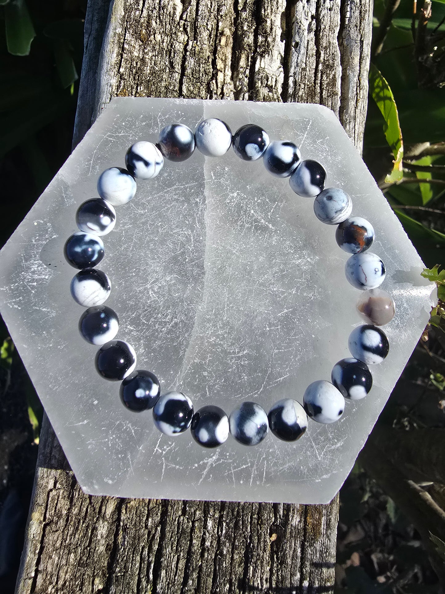 Orca Agate | Round Bead Bracelet