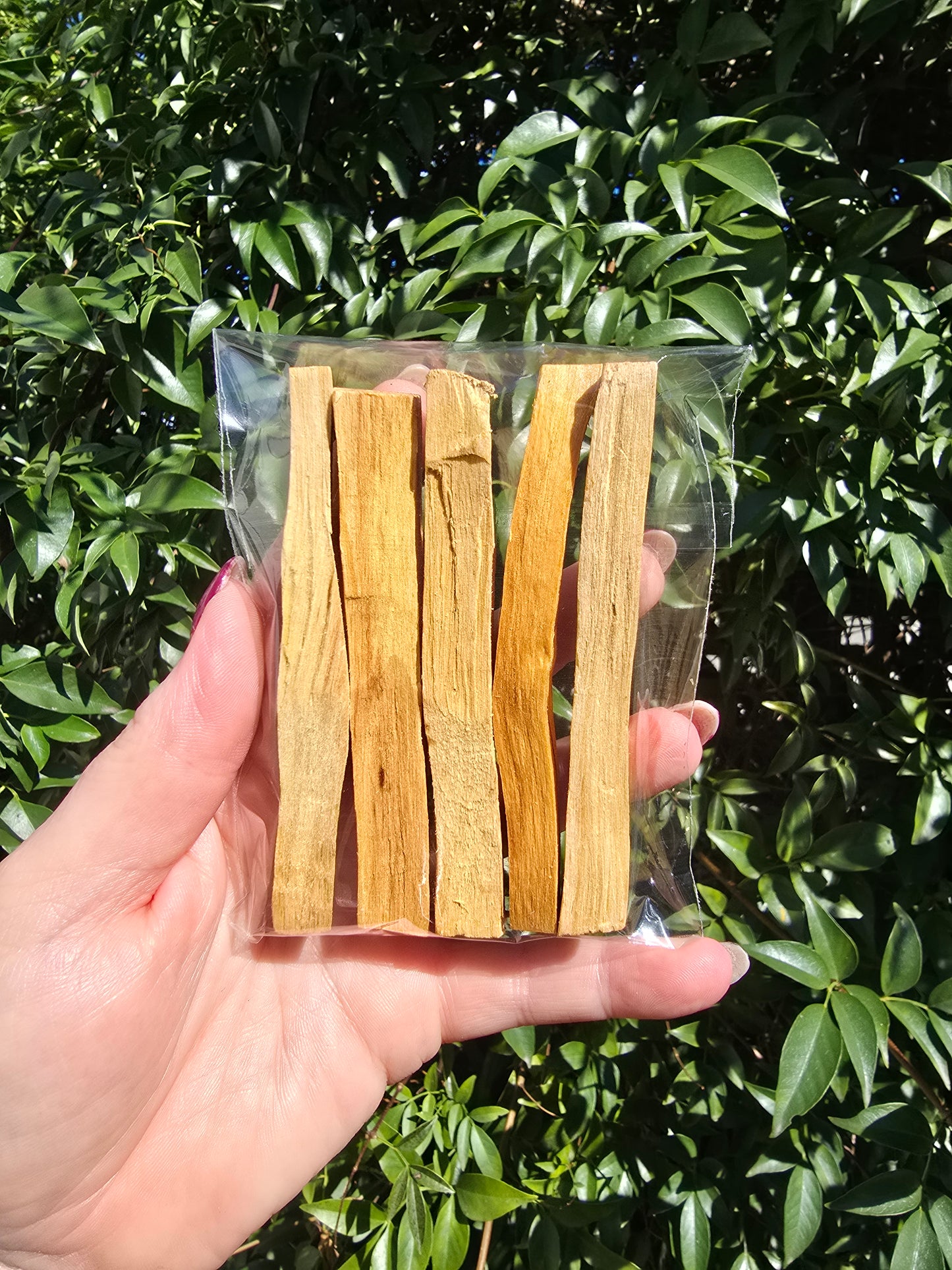 White Sage & 5x Palo Santo Stick Bundle