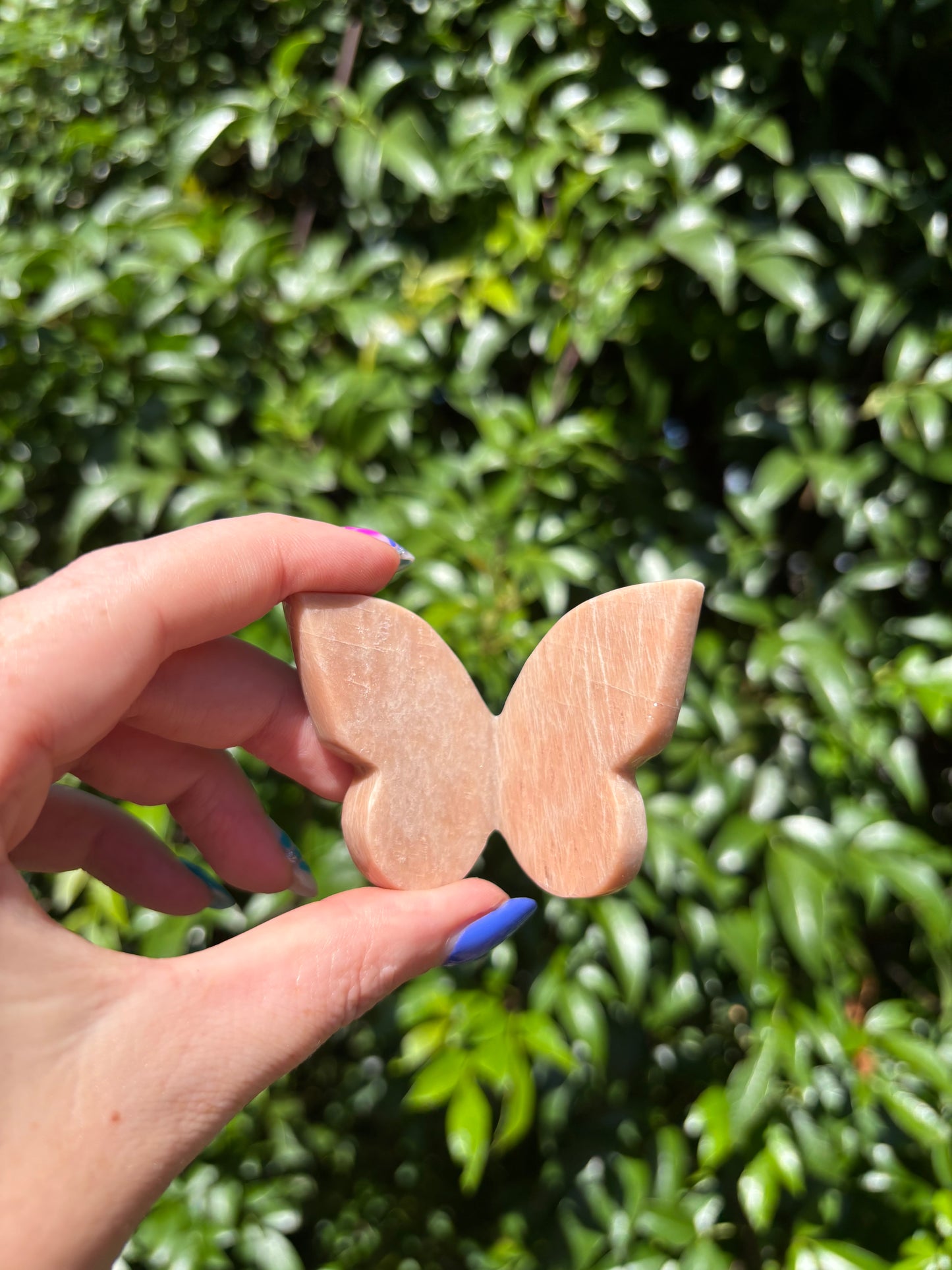 Peach Moonstone 3D Large Butterfly A