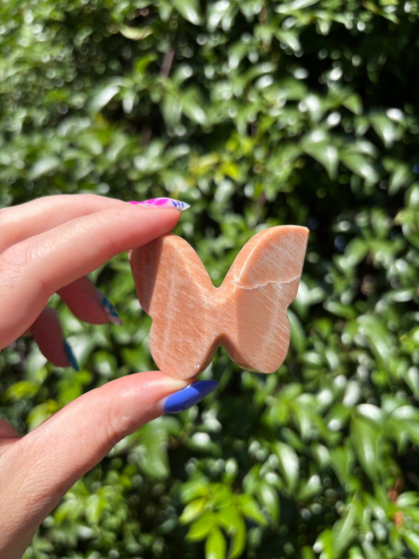 Peach Moonstone 3D Large Butterfly B