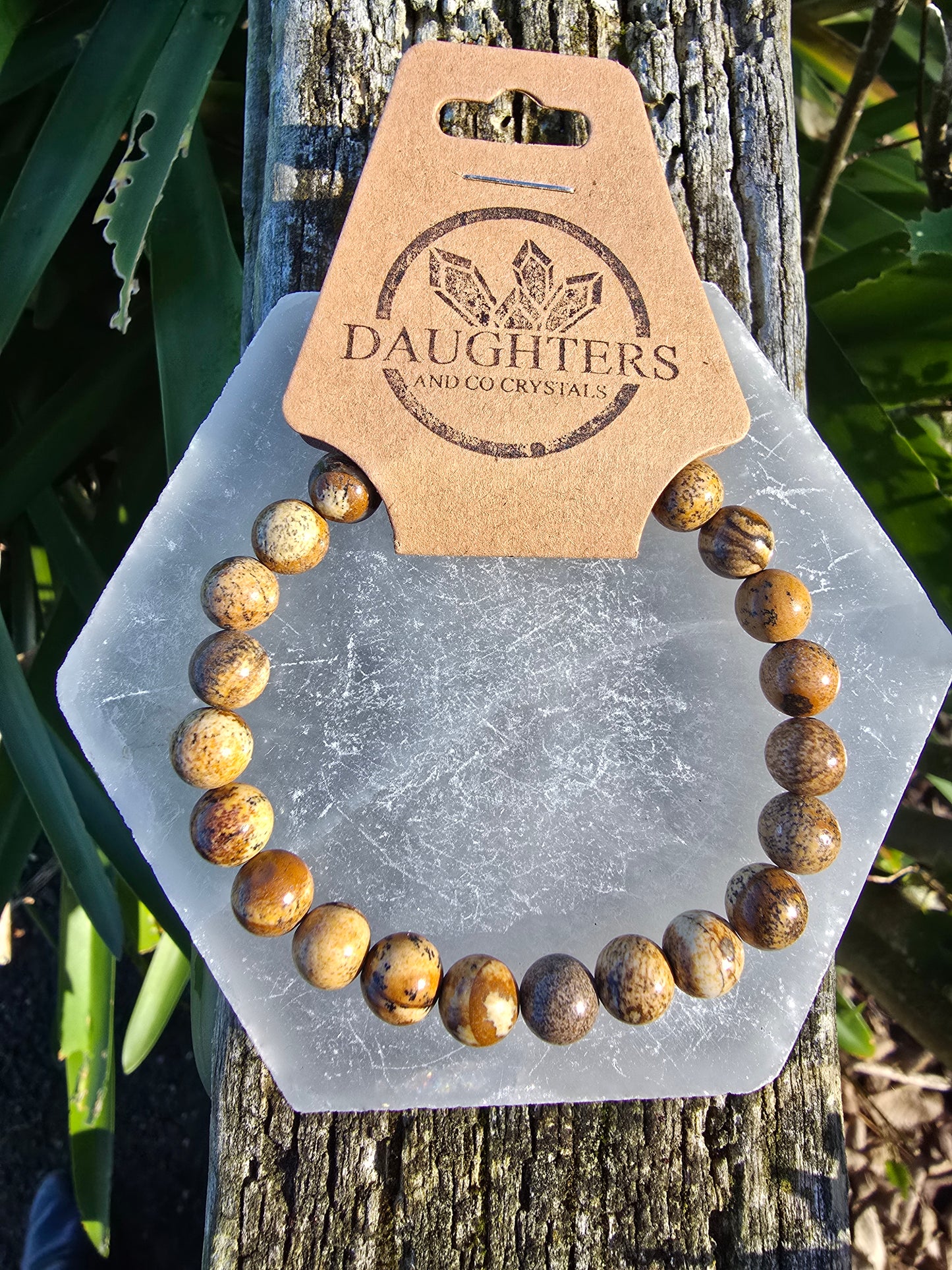 Picture Jasper | Round Bead Bracelet 8 mm
