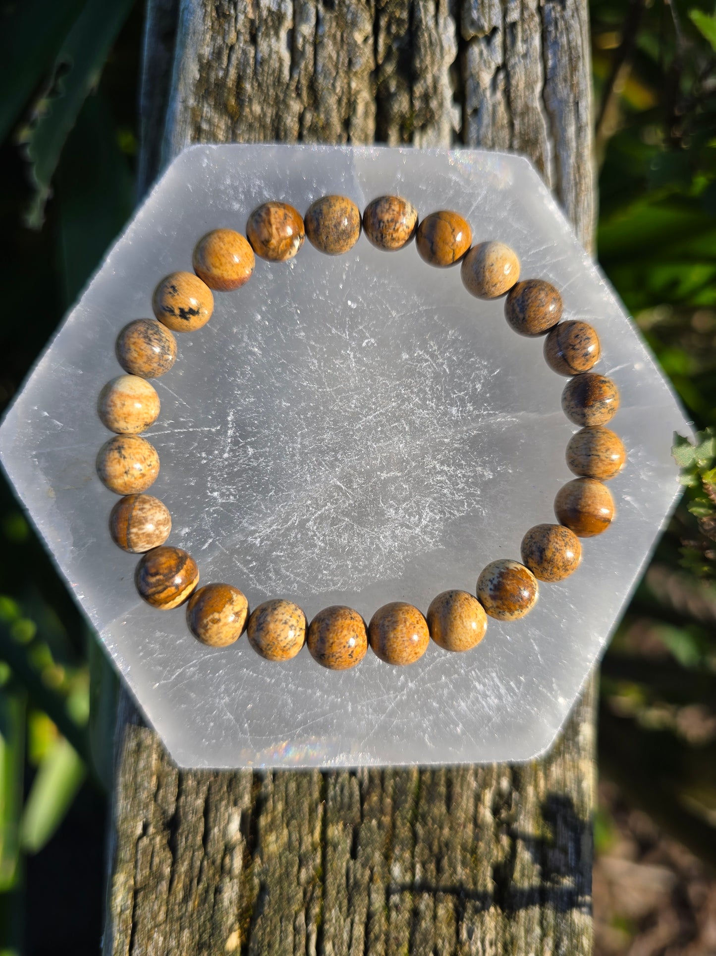 Picture Jasper | Round Bead Bracelet 8 mm