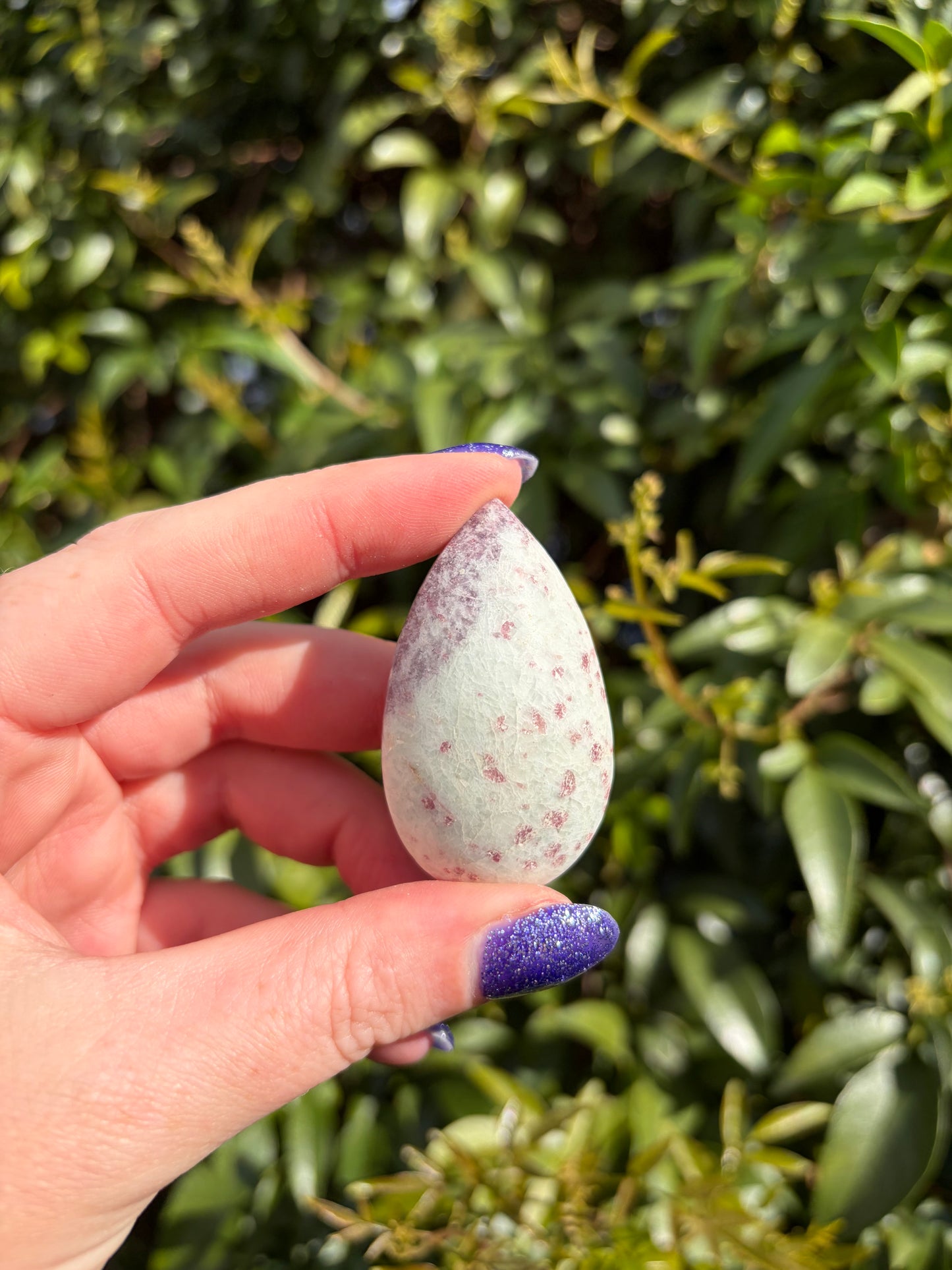 Pink Tourmaline Tear Drop A
