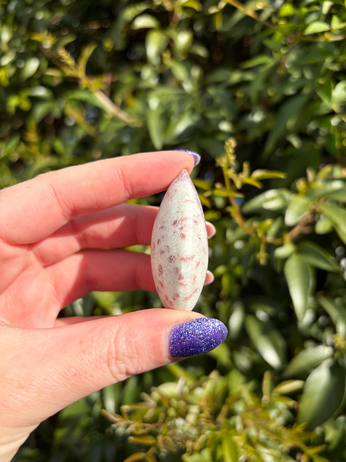 Pink Tourmaline Tear Drop A