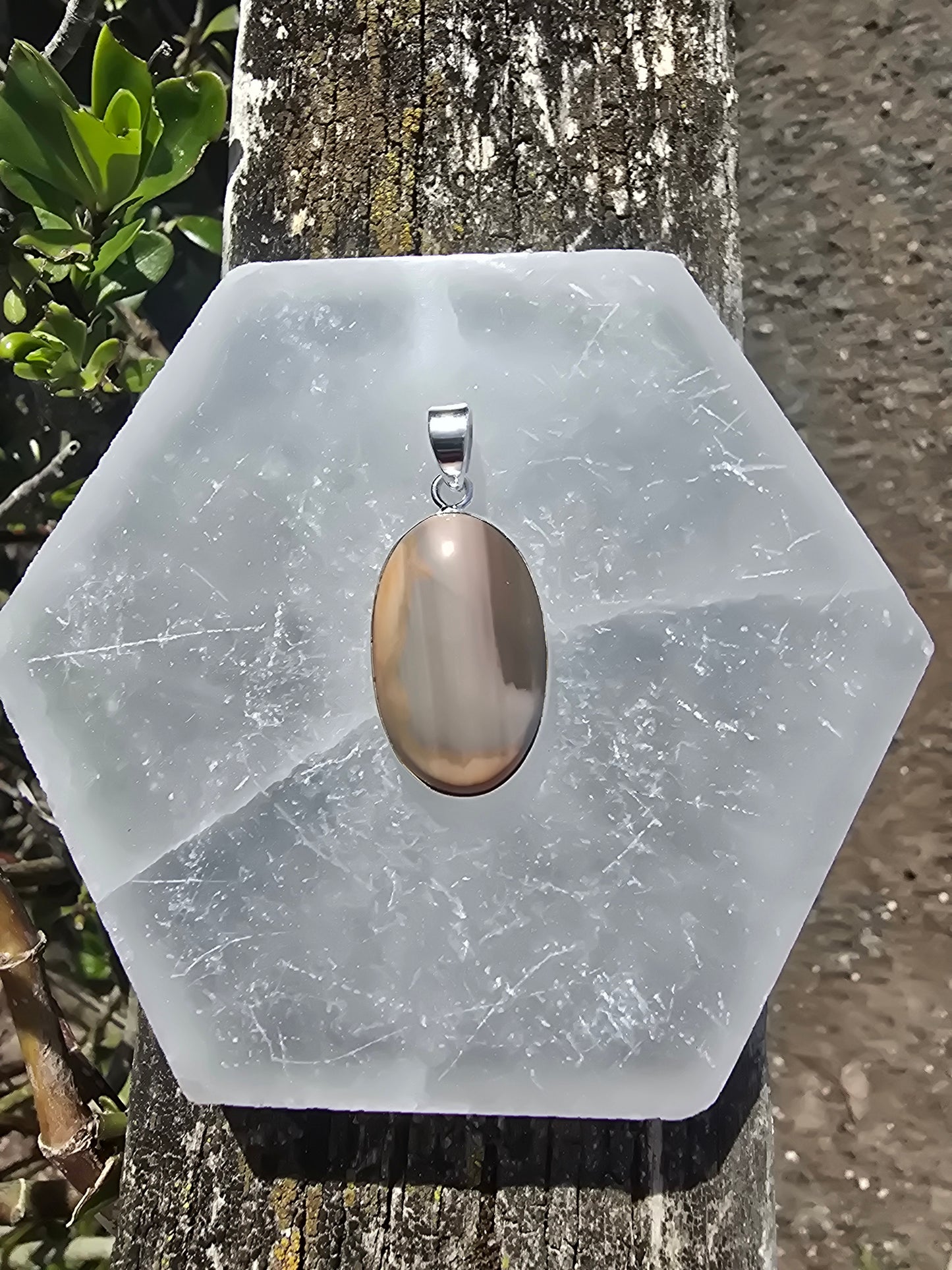 Polychrome Jasper | Polished Sterling Silver Pendant A