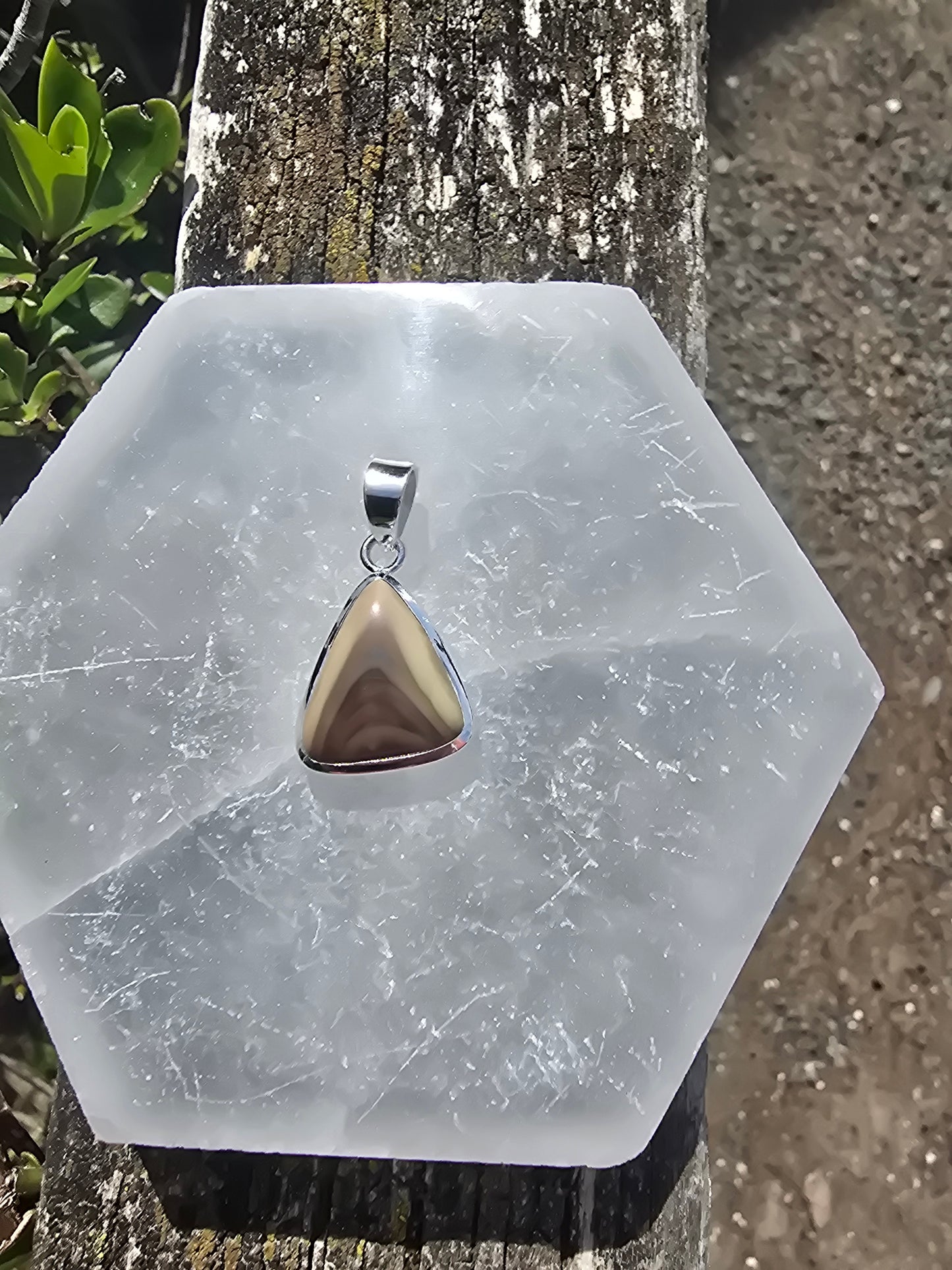 Polychrome Jasper | Polished Sterling Silver Pendant B