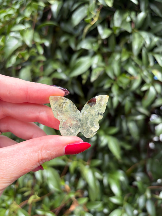 Prehnite 3D Medium Butterfly A