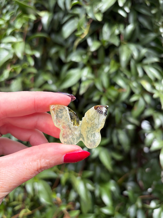 Prehnite 3D Medium Butterfly C