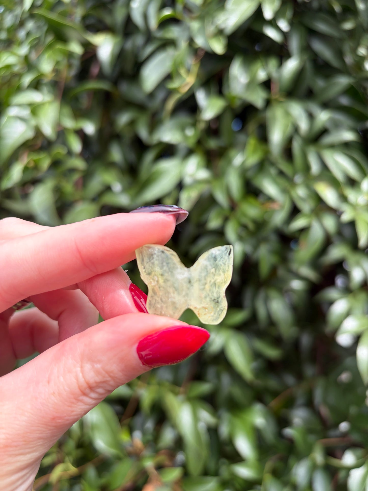 Prehnite 3D Small Butterfly A