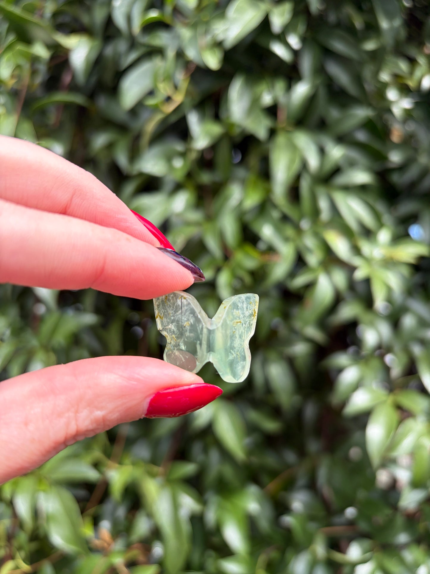 Prehnite 3d Small Butterfly B