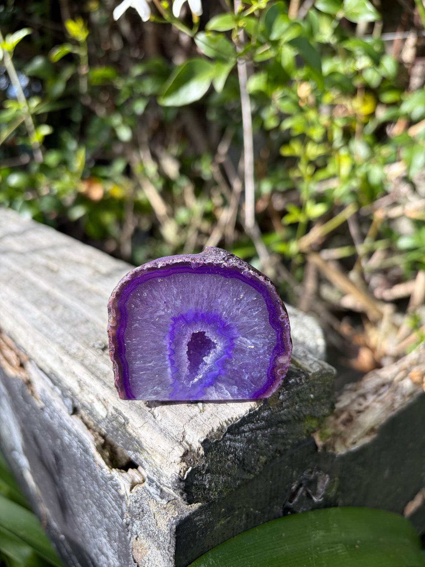 Purple Agate Geode G