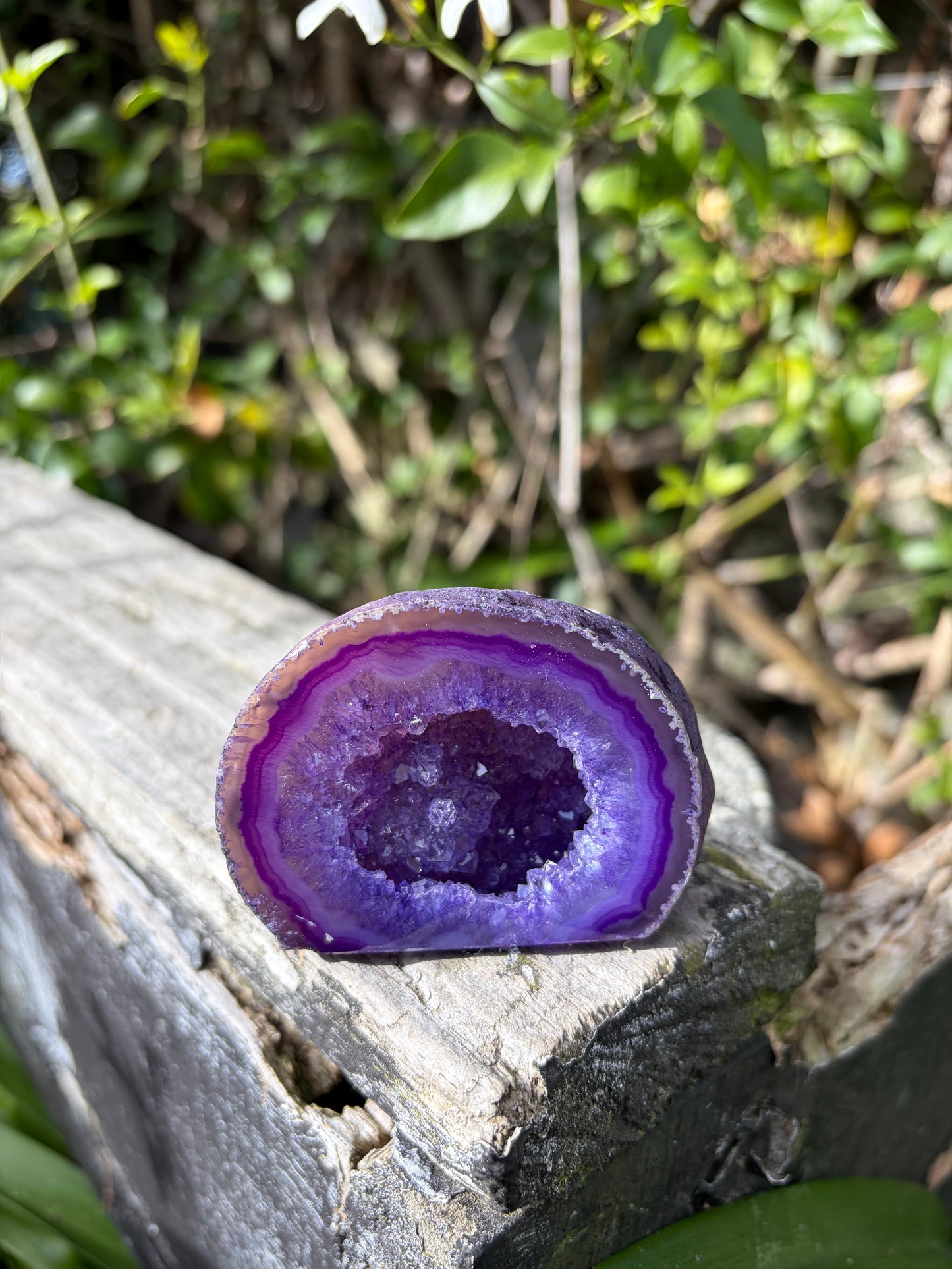 Purple Agate Geode H