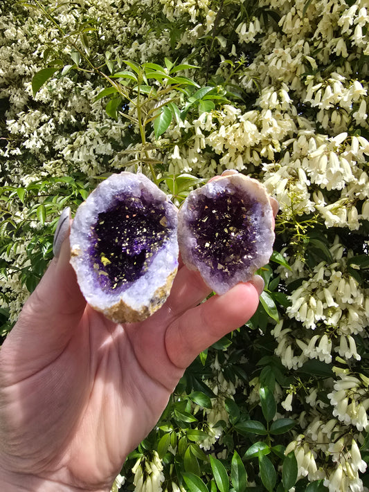 Quartz Geode Pair | Purple