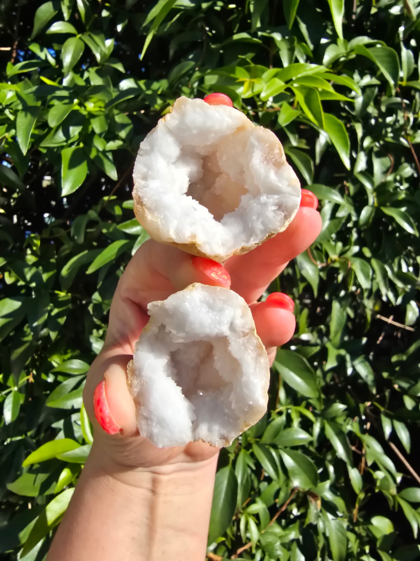 Quartz Geode Medium Pair